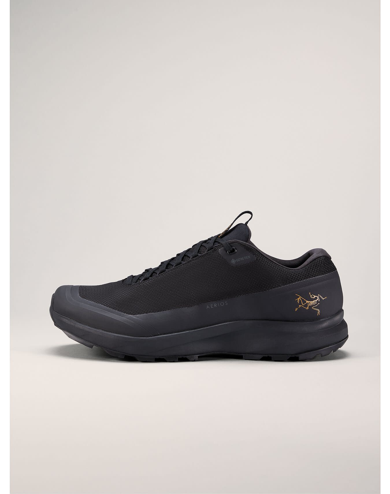Aerios FL 2 GTX Shoe Men's