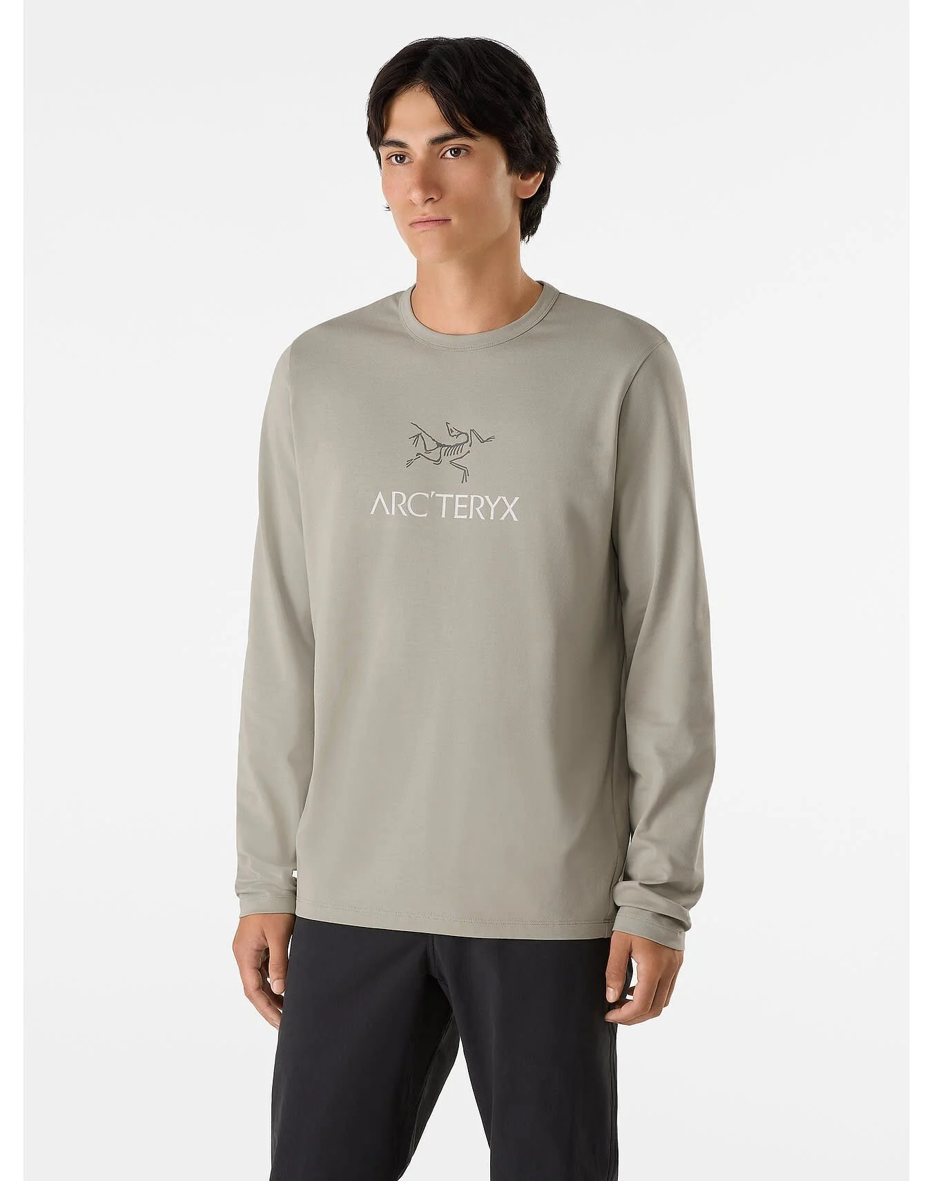 Captive Arc'Word Shirt LS Men's