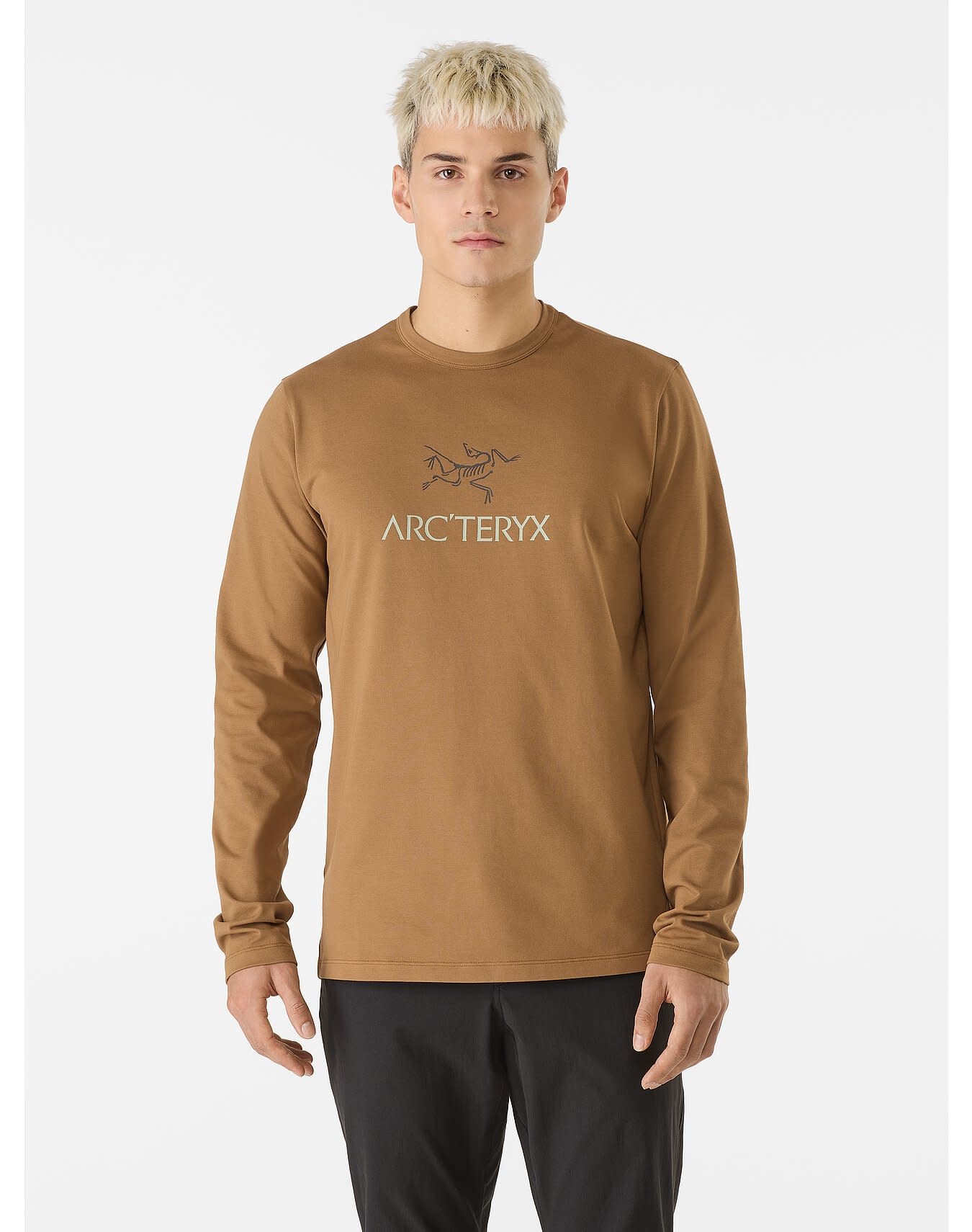 Captive Arc'Word Shirt LS Men's