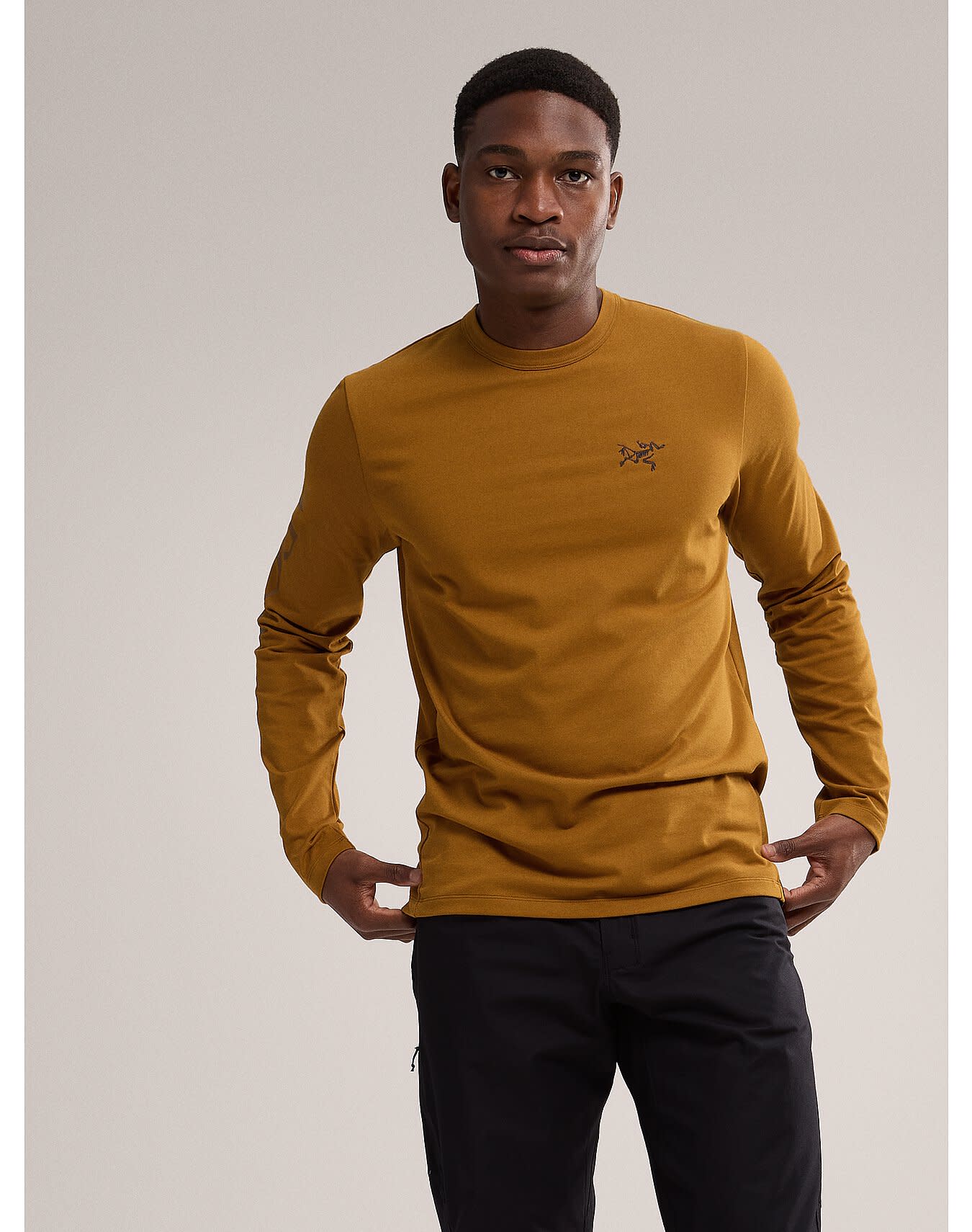 Captive Arc'Word Shirt LS Men's