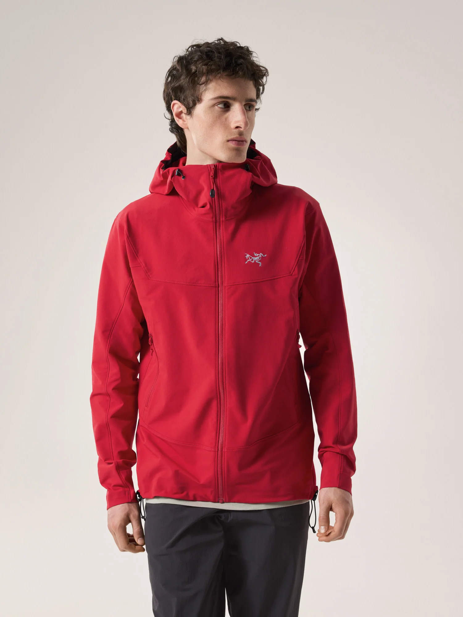 Gamma Hoody Men's