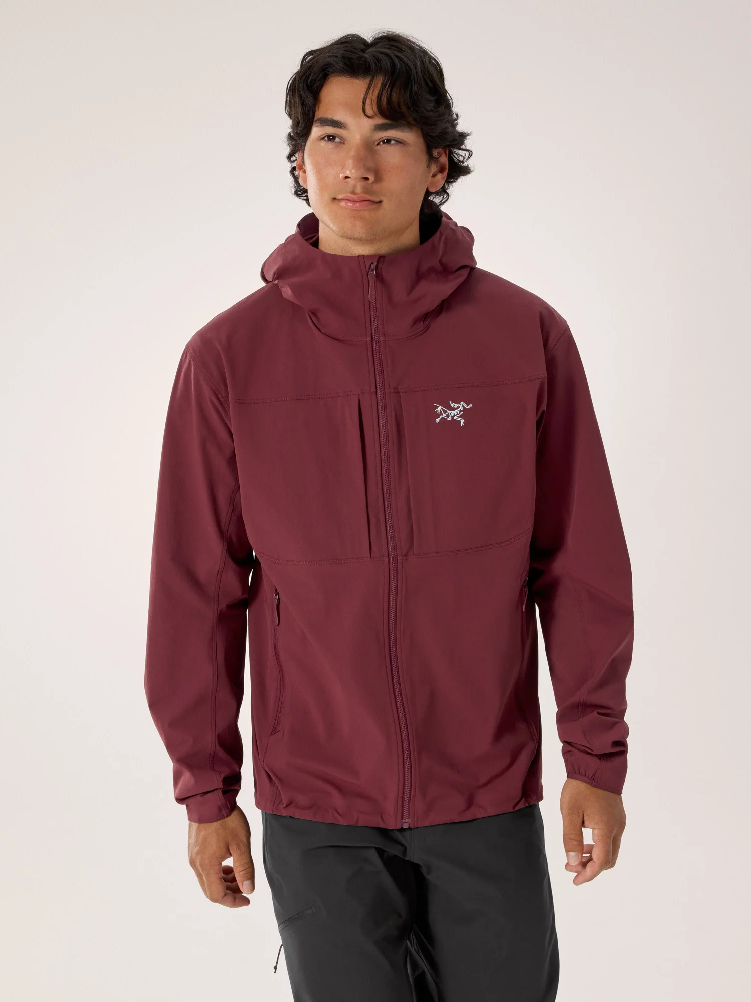 Gamma Hoody Men's