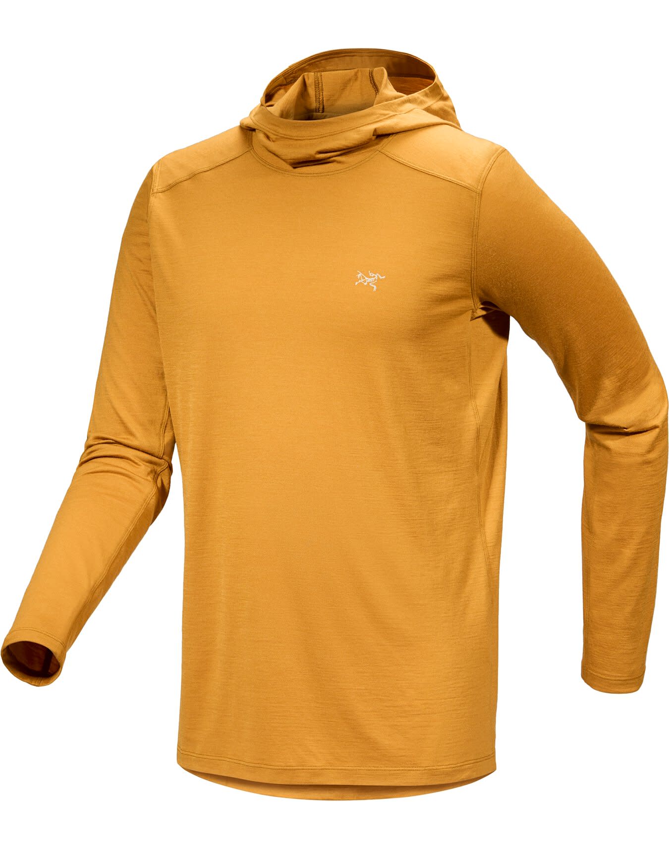 Ionia Merino Wool Hoody Men's