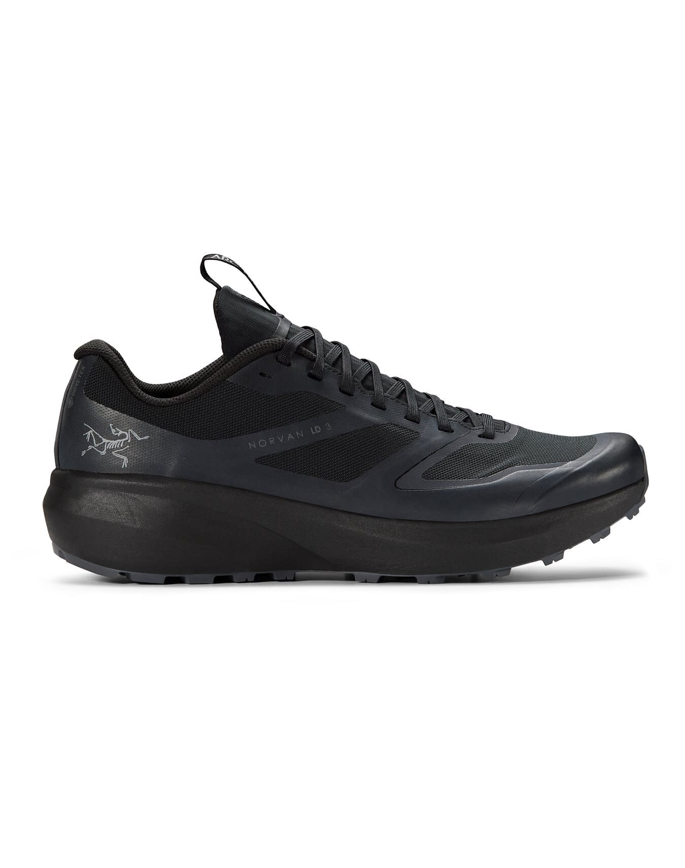 NORVAN LD 3 GTX MEN'S