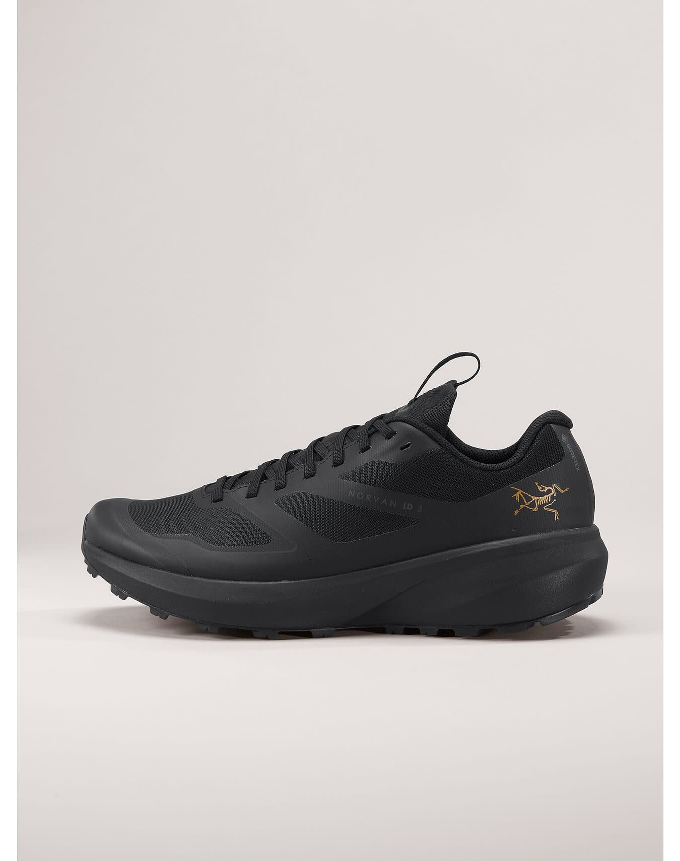 Norvan LD 3 GTX Shoe Men's