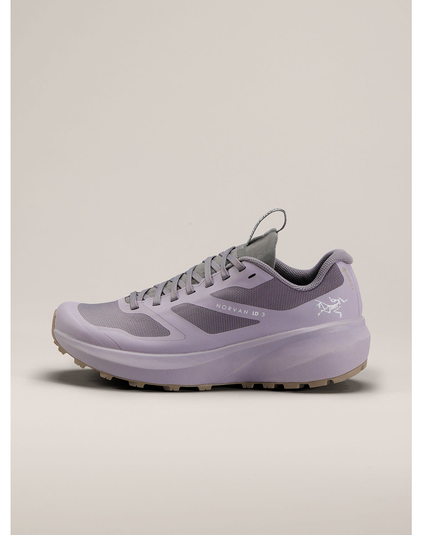 Norvan LD 3 GTX Shoe Women's