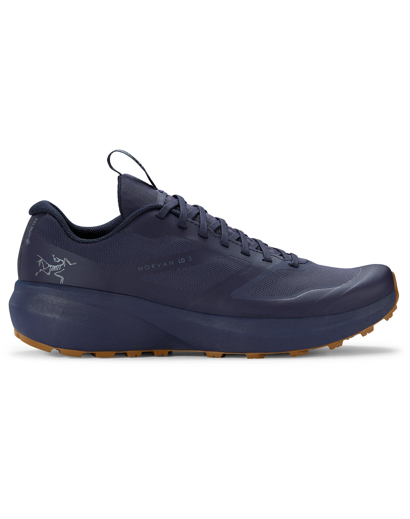 Norvan LD 3 GTX Shoe