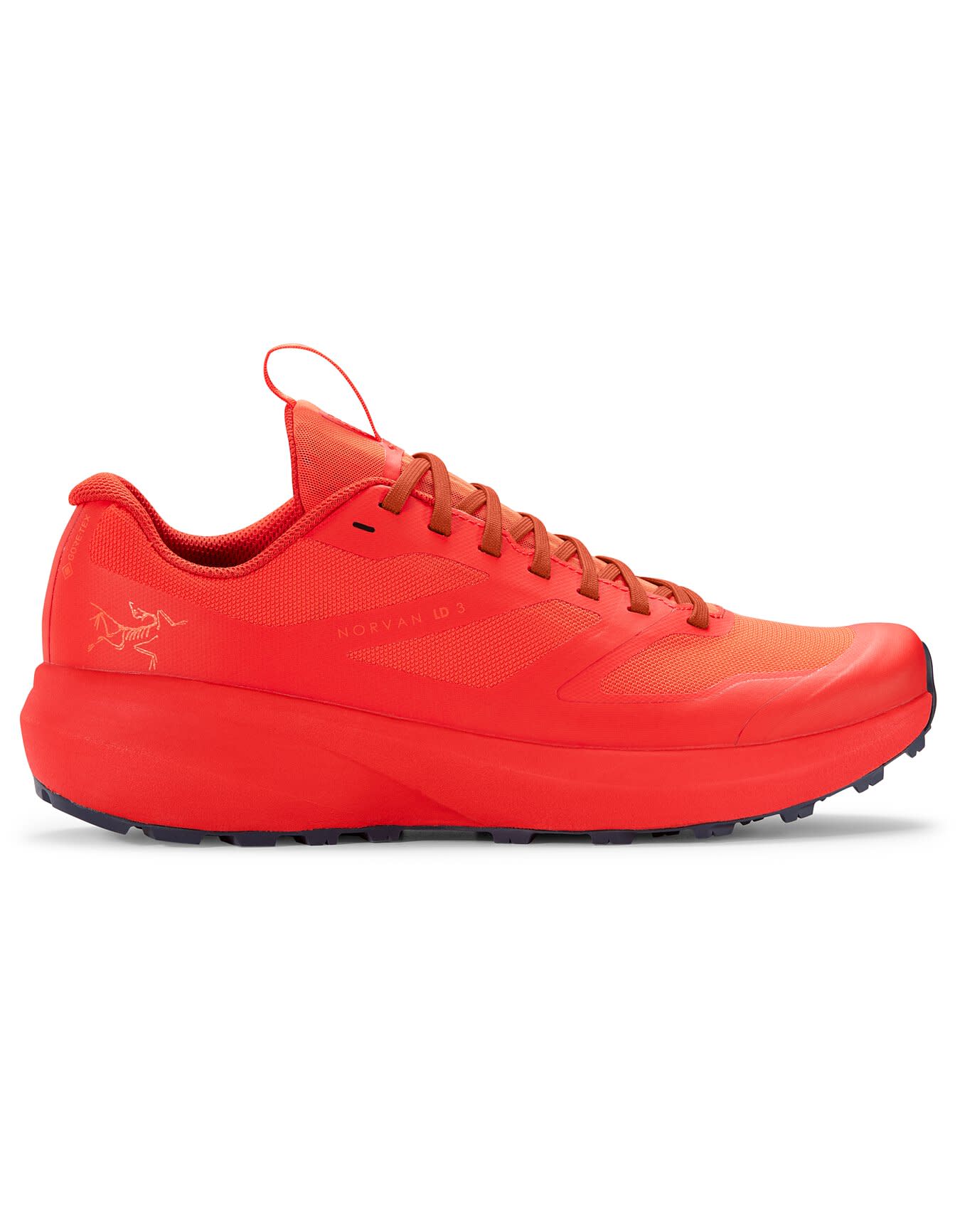 Norvan LD 3 GTX Shoe