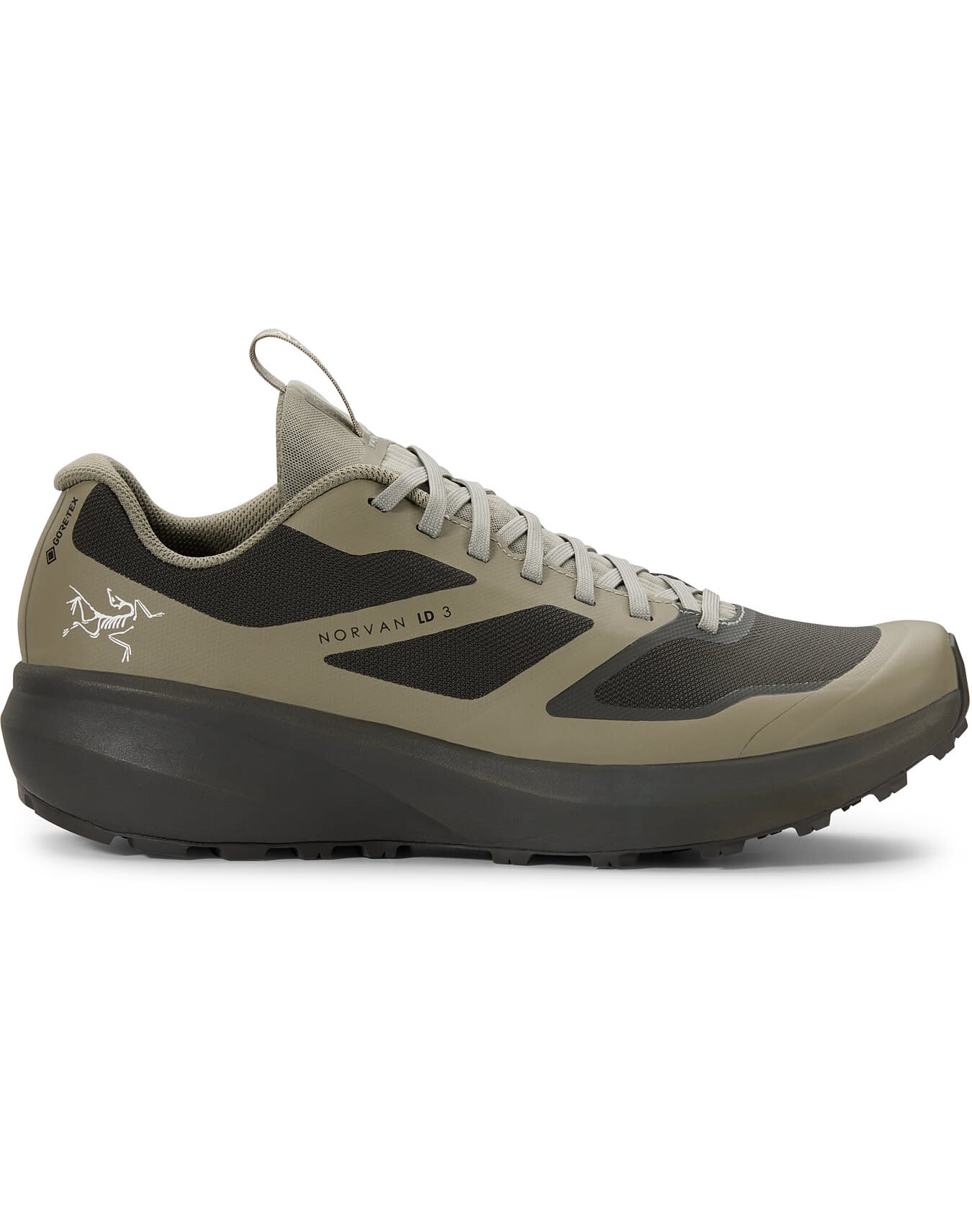 Norvan LD 3 GTX Shoe
