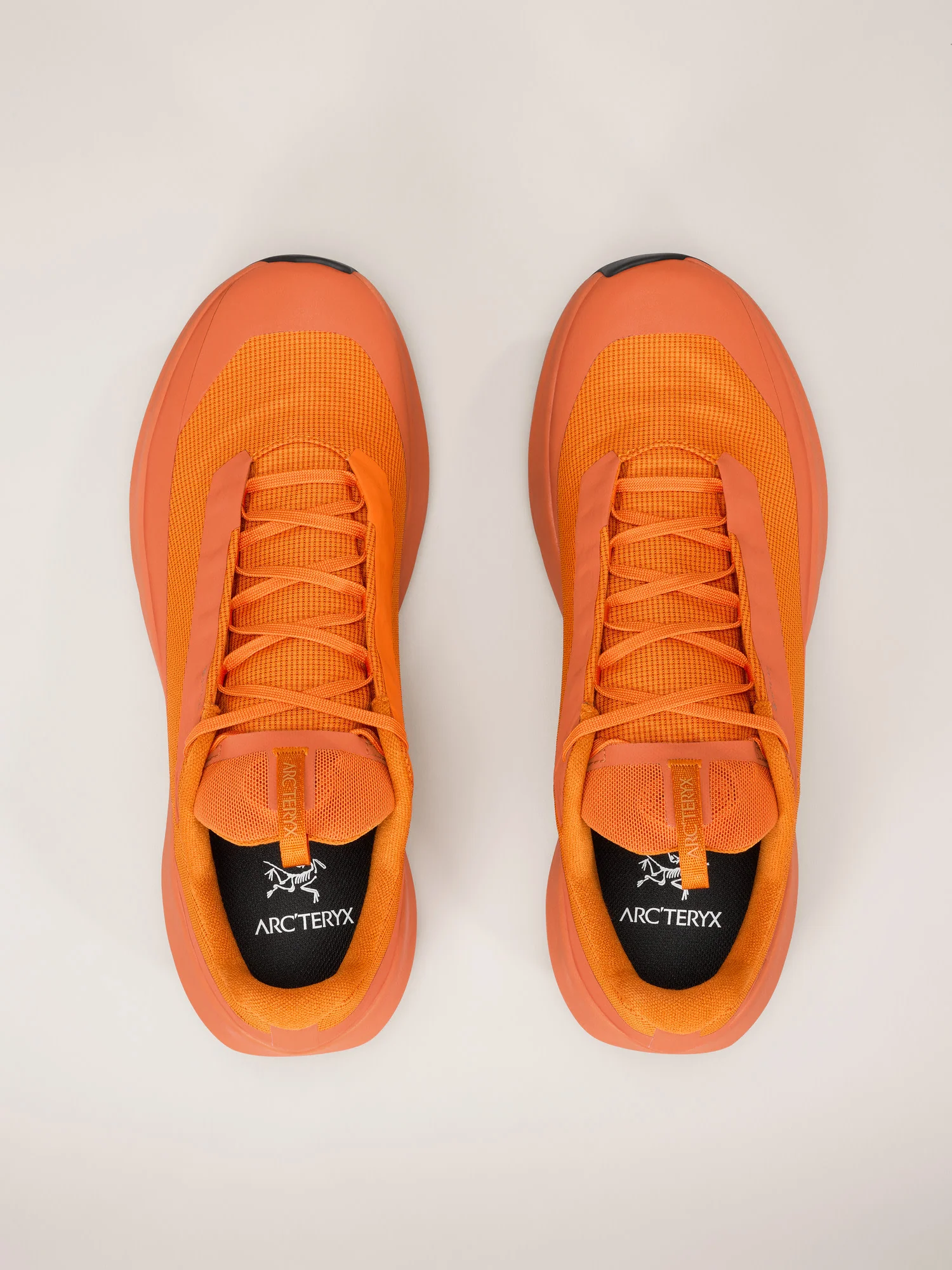Norvan LD 4 GTX Shoe Men's - Image 2