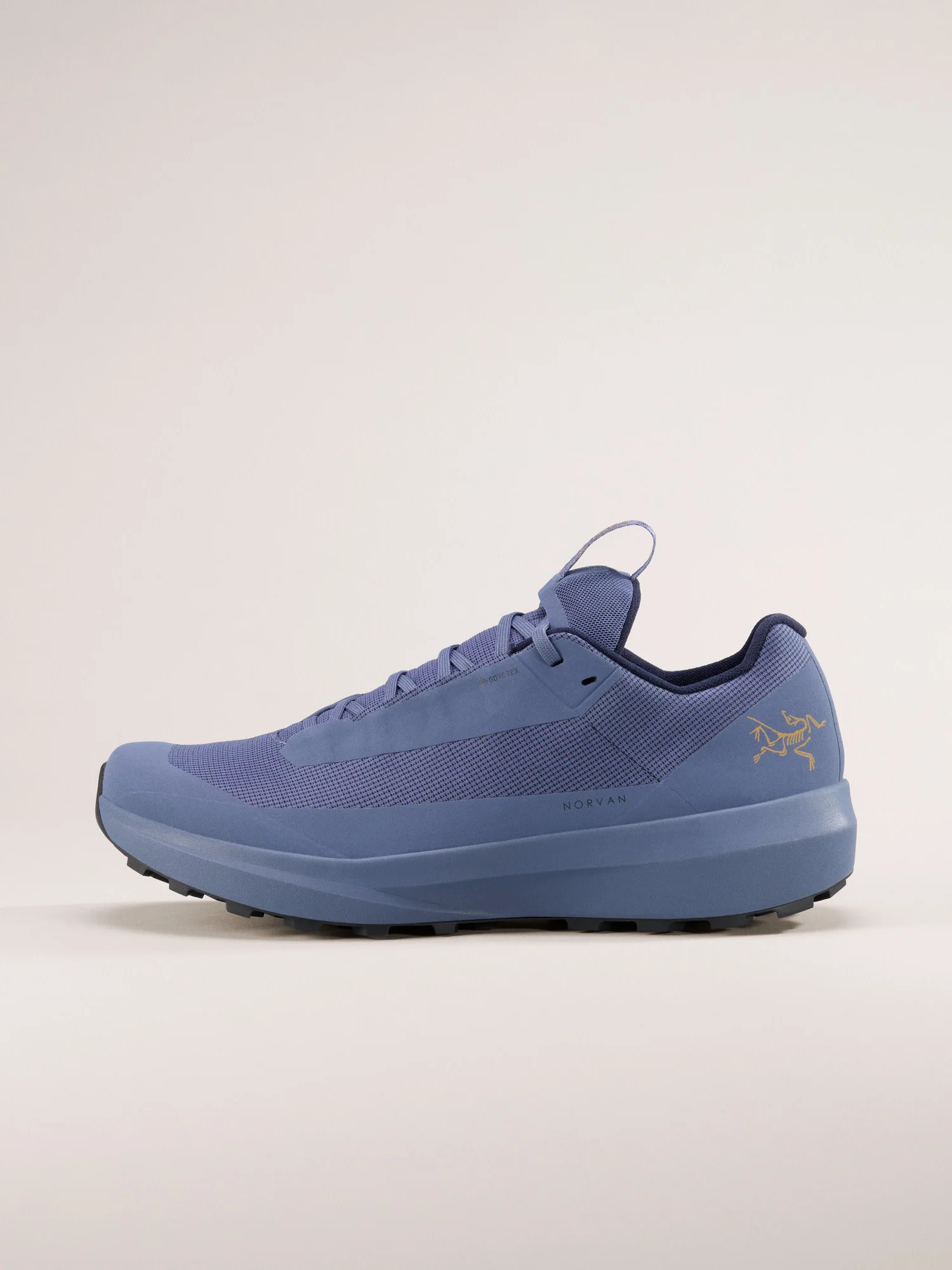 Norvan LD 4 GTX Shoe Men's