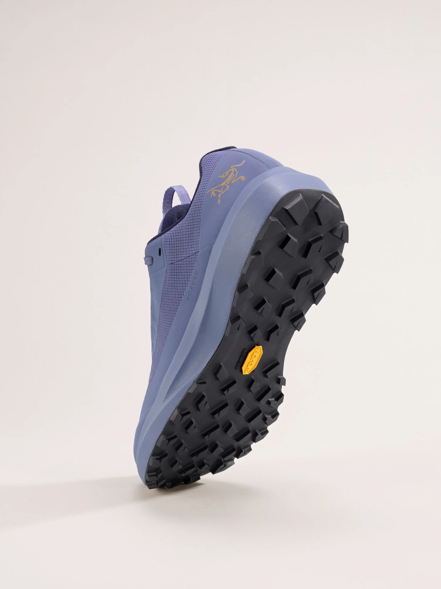 Norvan LD 4 GTX Shoe Men's - Image 4