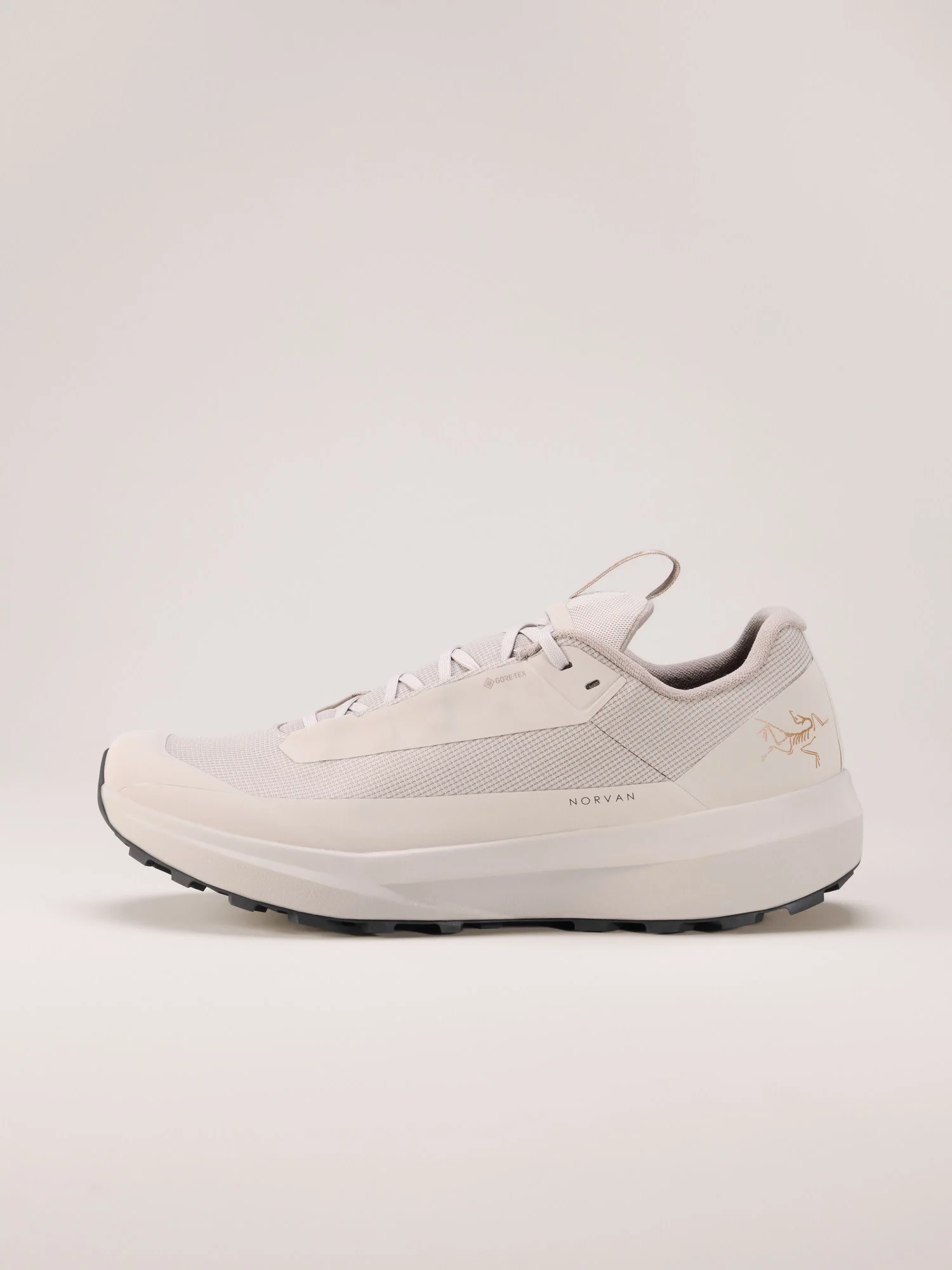 Norvan LD 4 GTX Shoe Men's