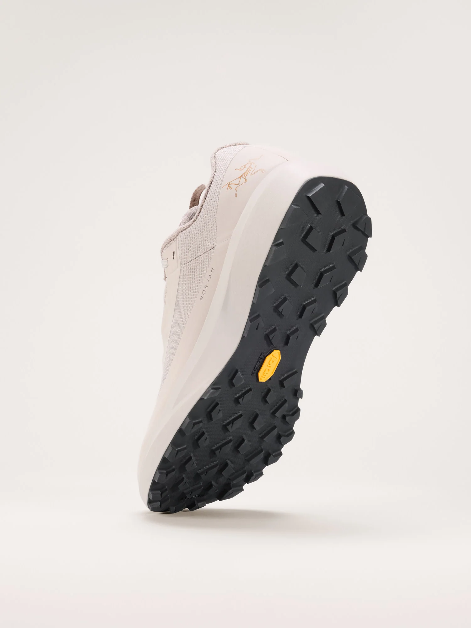 Norvan LD 4 GTX Shoe Men's - Image 4