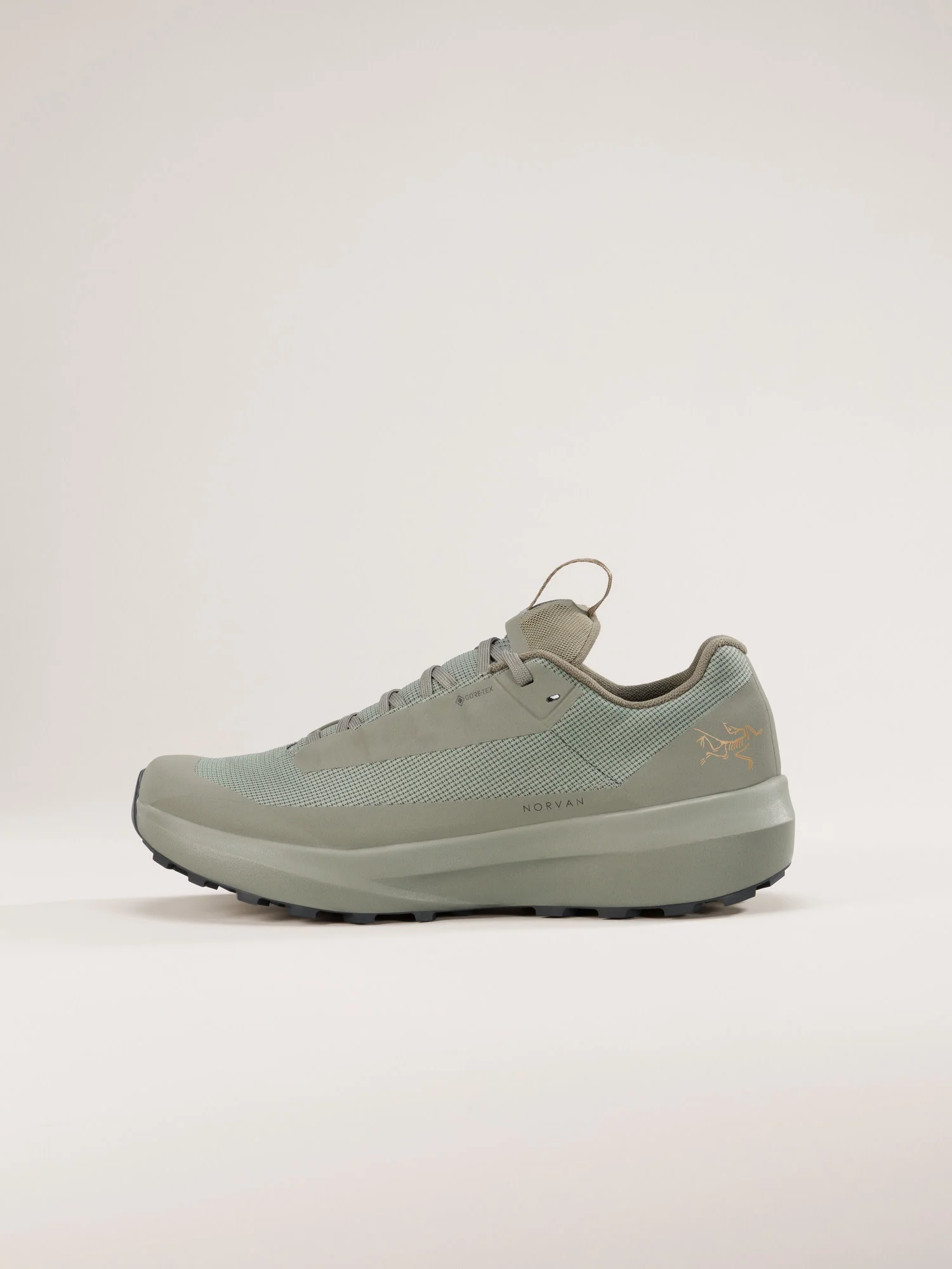 Norvan LD 4 GTX Shoe Women's