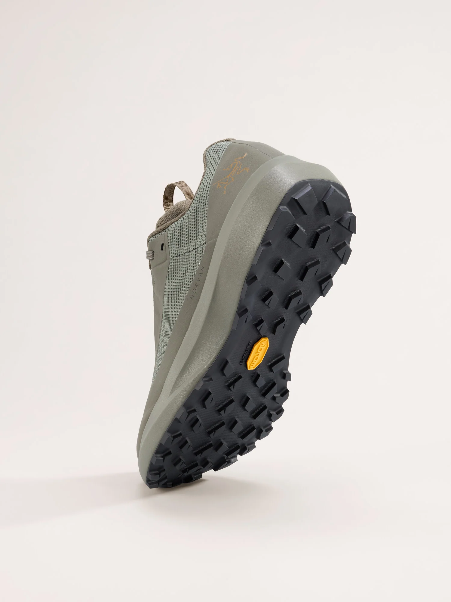 Norvan LD 4 GTX Shoe Women's - Image 4