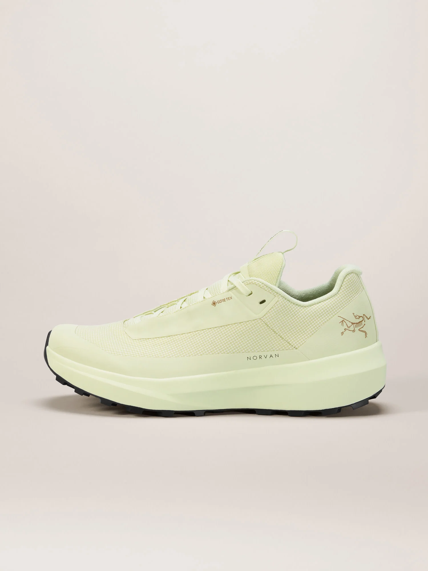 Norvan LD 4 GTX Shoe Women's