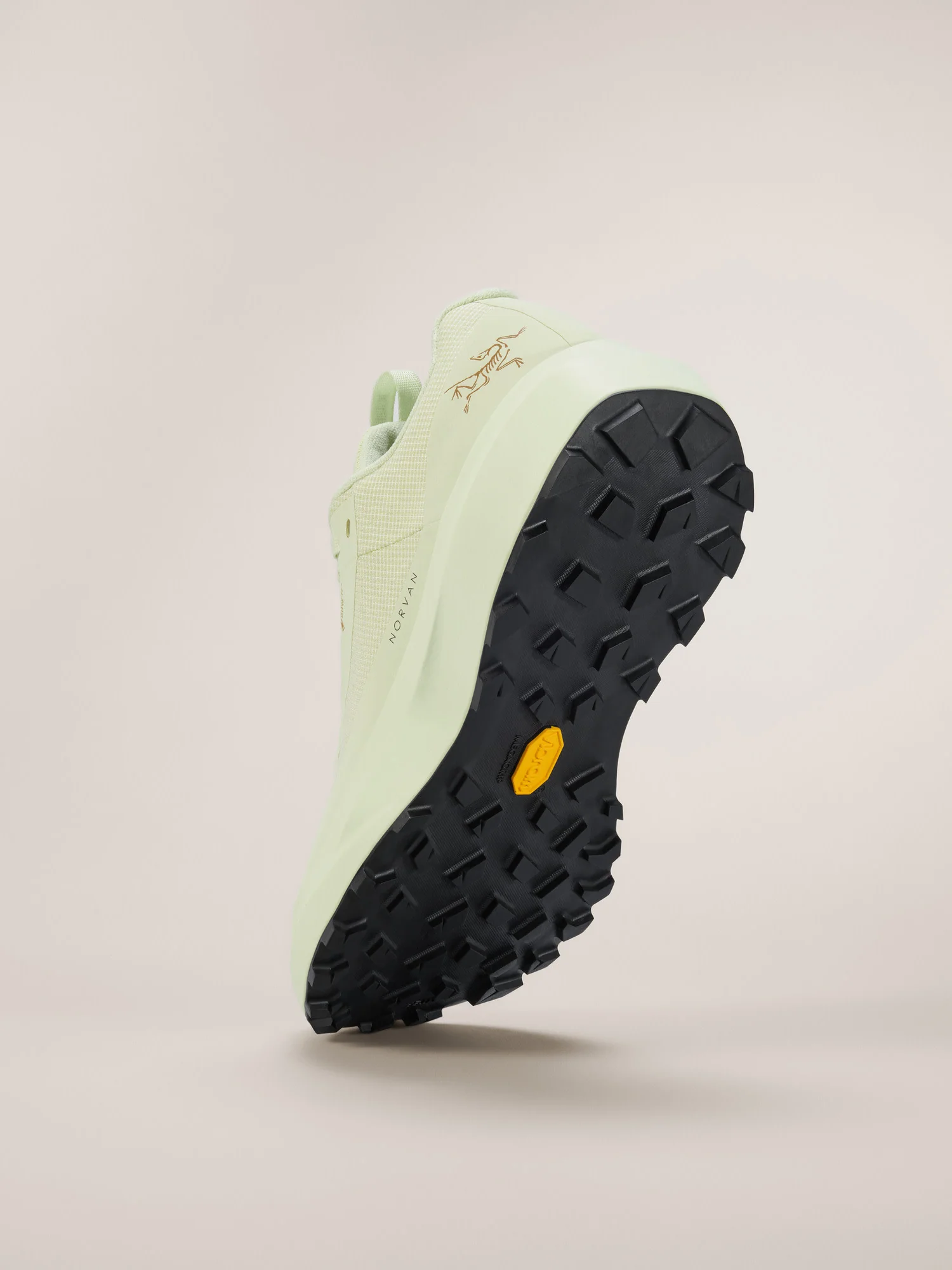 Norvan LD 4 GTX Shoe Women's - Image 4