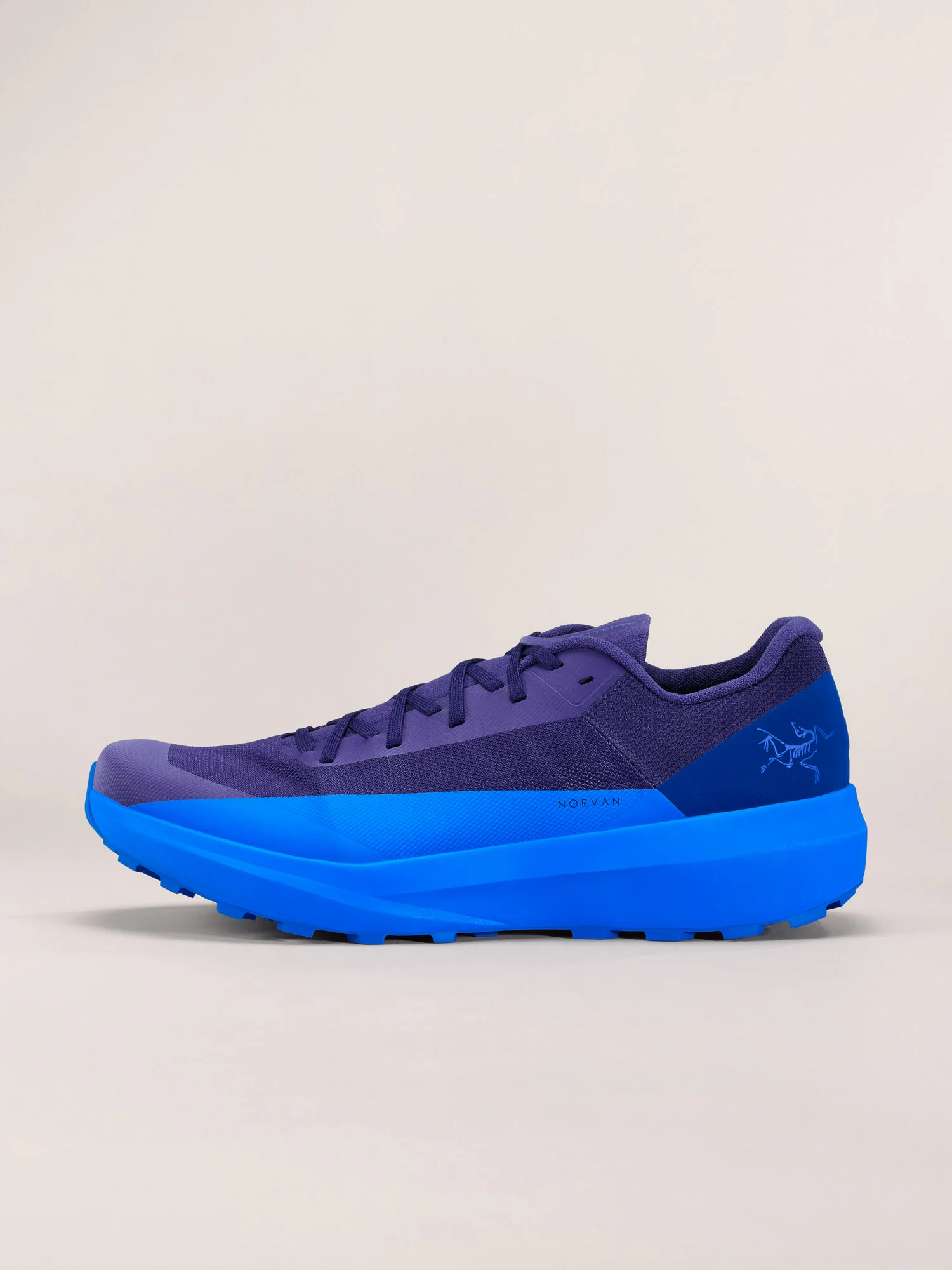 Norvan LD 4 Shoe Men's
