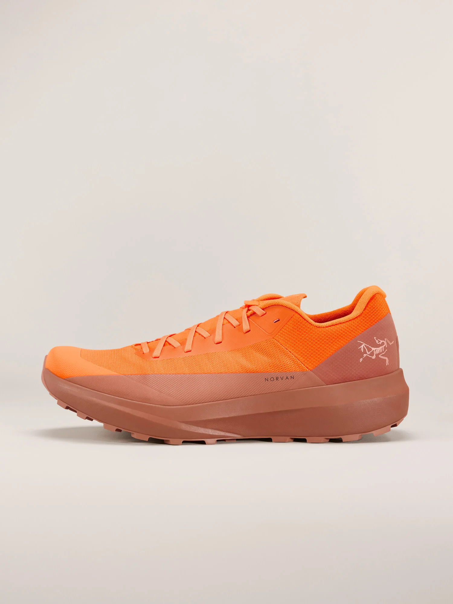 Norvan LD 4 Shoe Men's