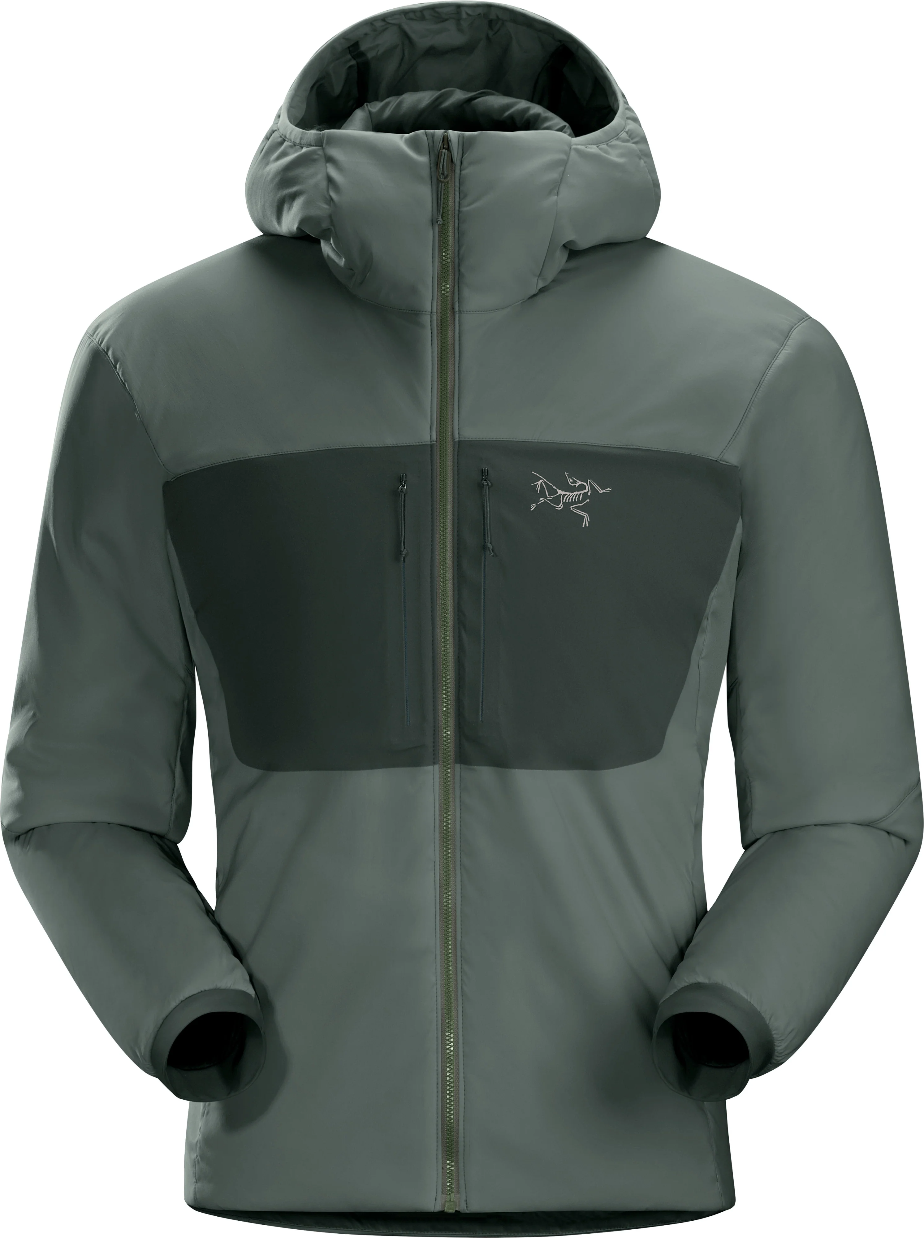 Proton AR Hoody Men's