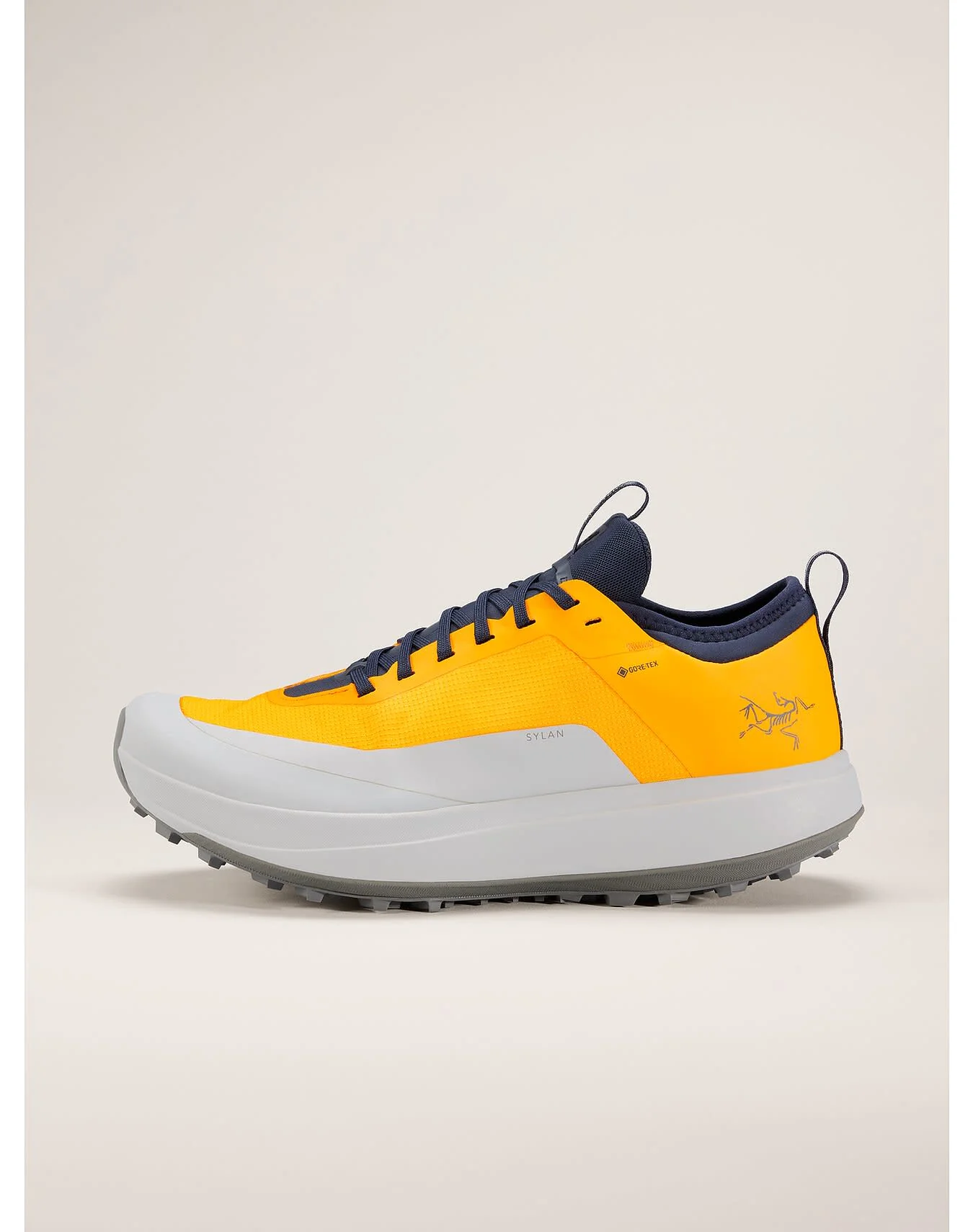 Sylan GTX Shoe Men's