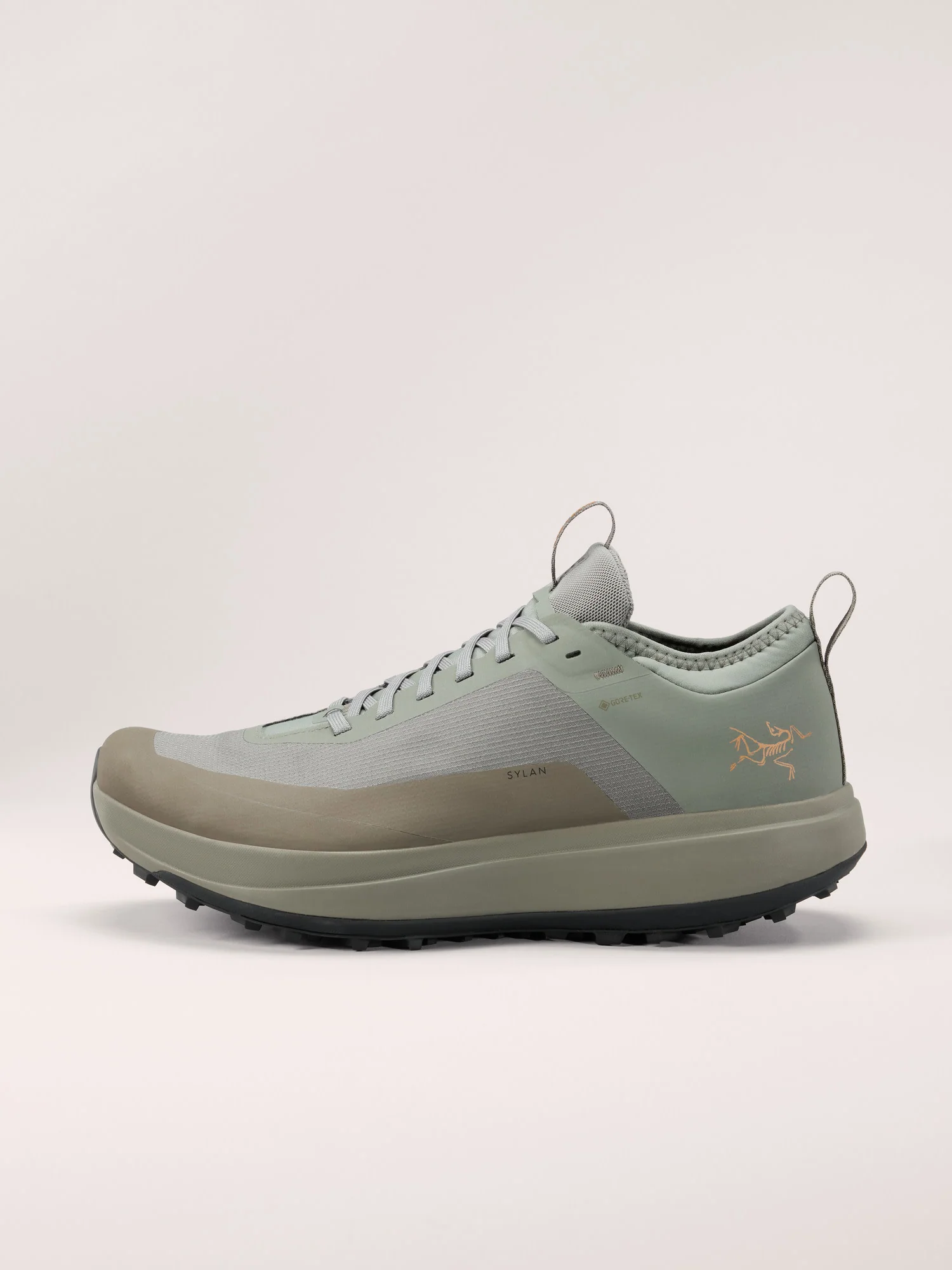 Sylan GTX Shoe Men's