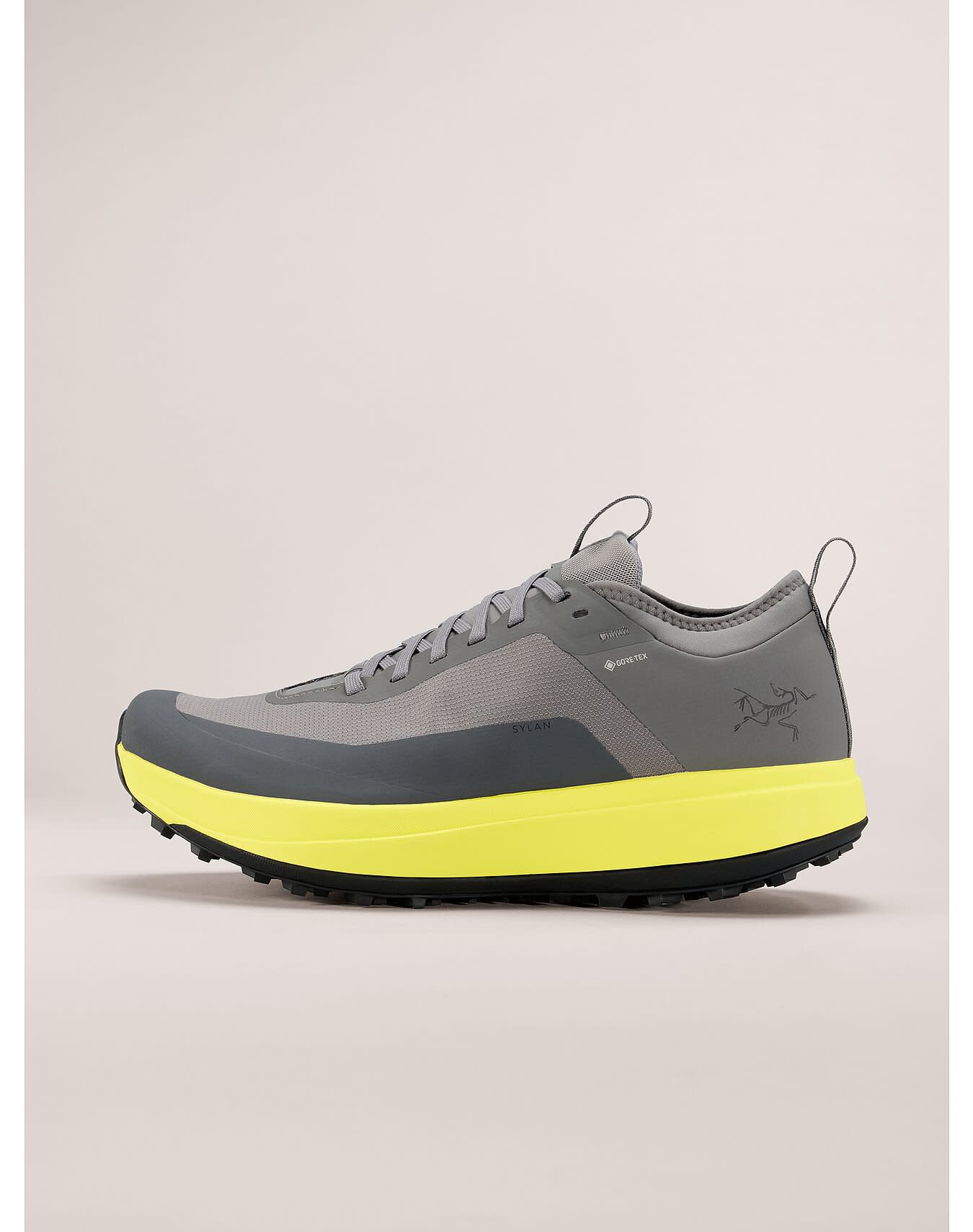 Sylan GTX Shoe Men's