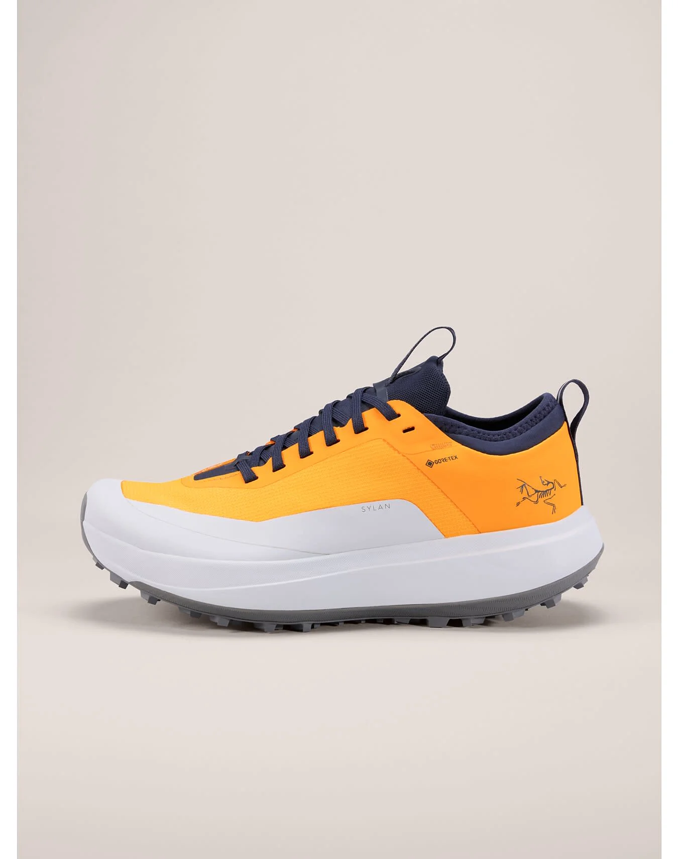 Sylan GTX Shoe Women's