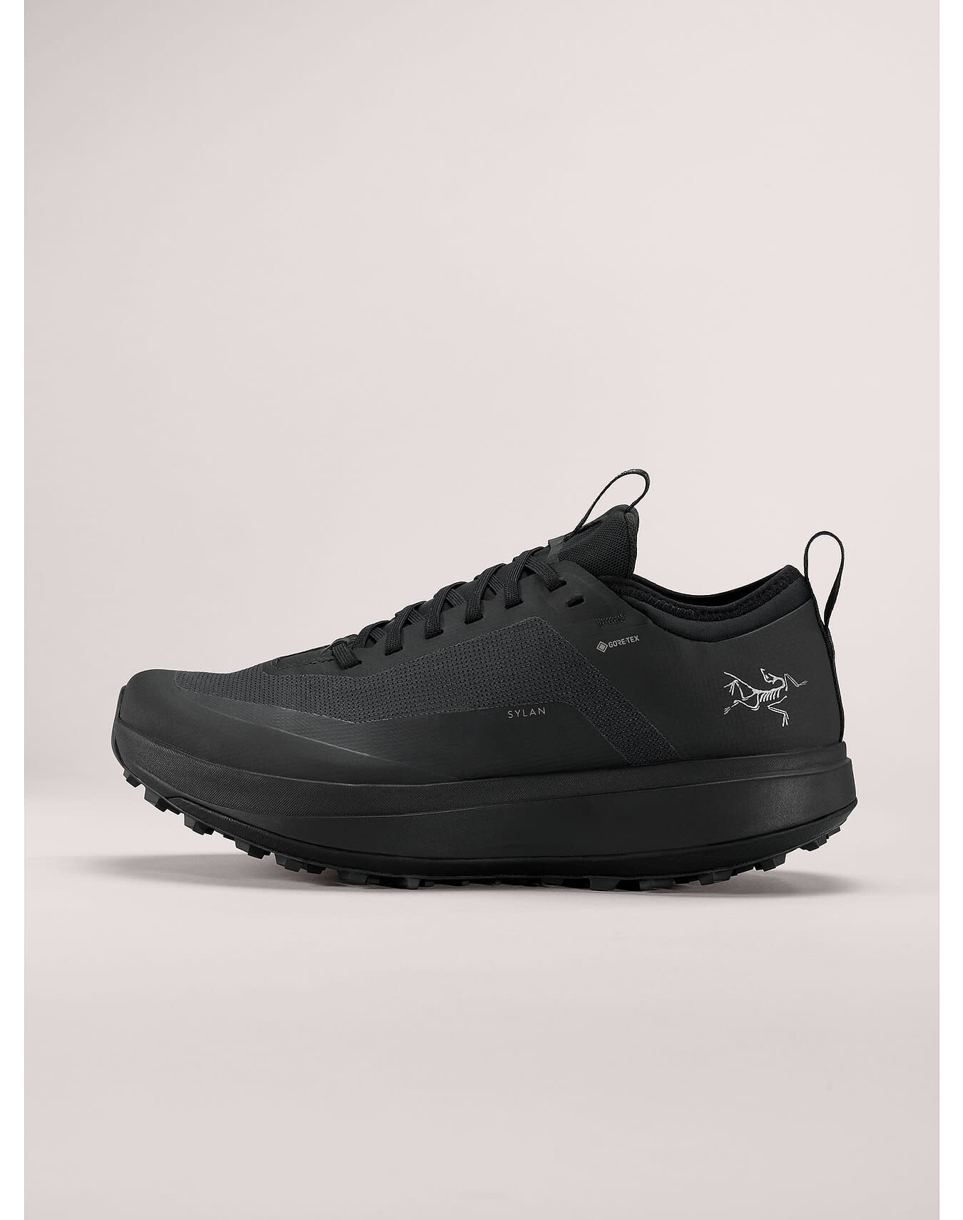 Sylan GTX Shoe Women's
