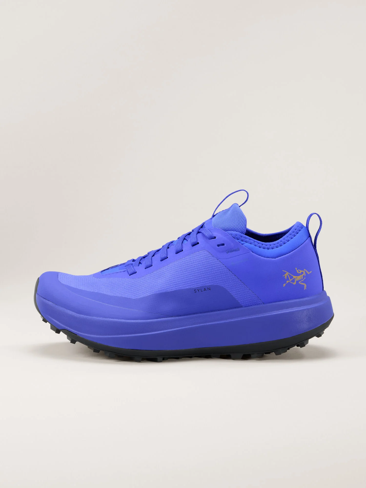 Sylan GTX Shoe Women's