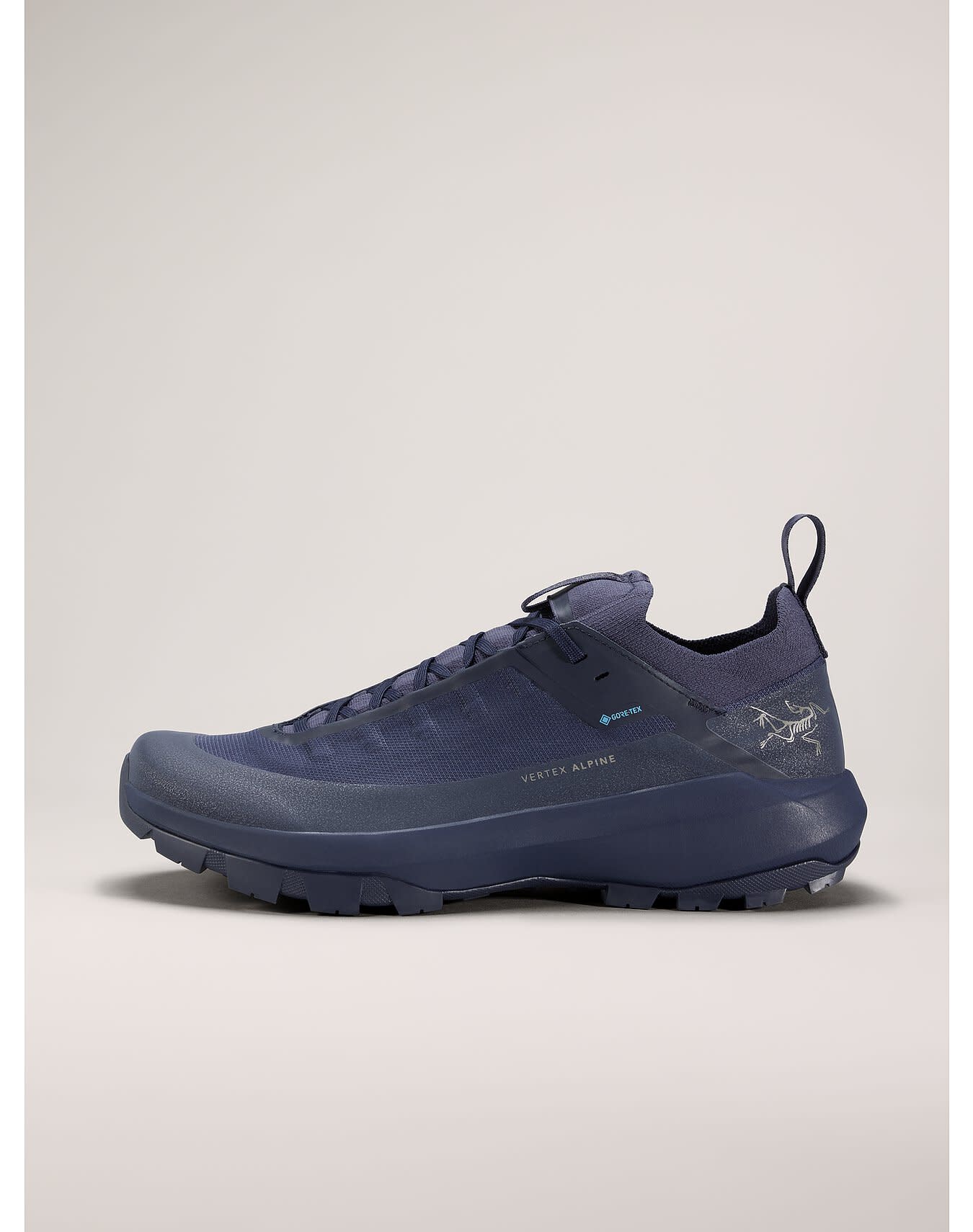 Vertex Alpine GTX Shoe Men's