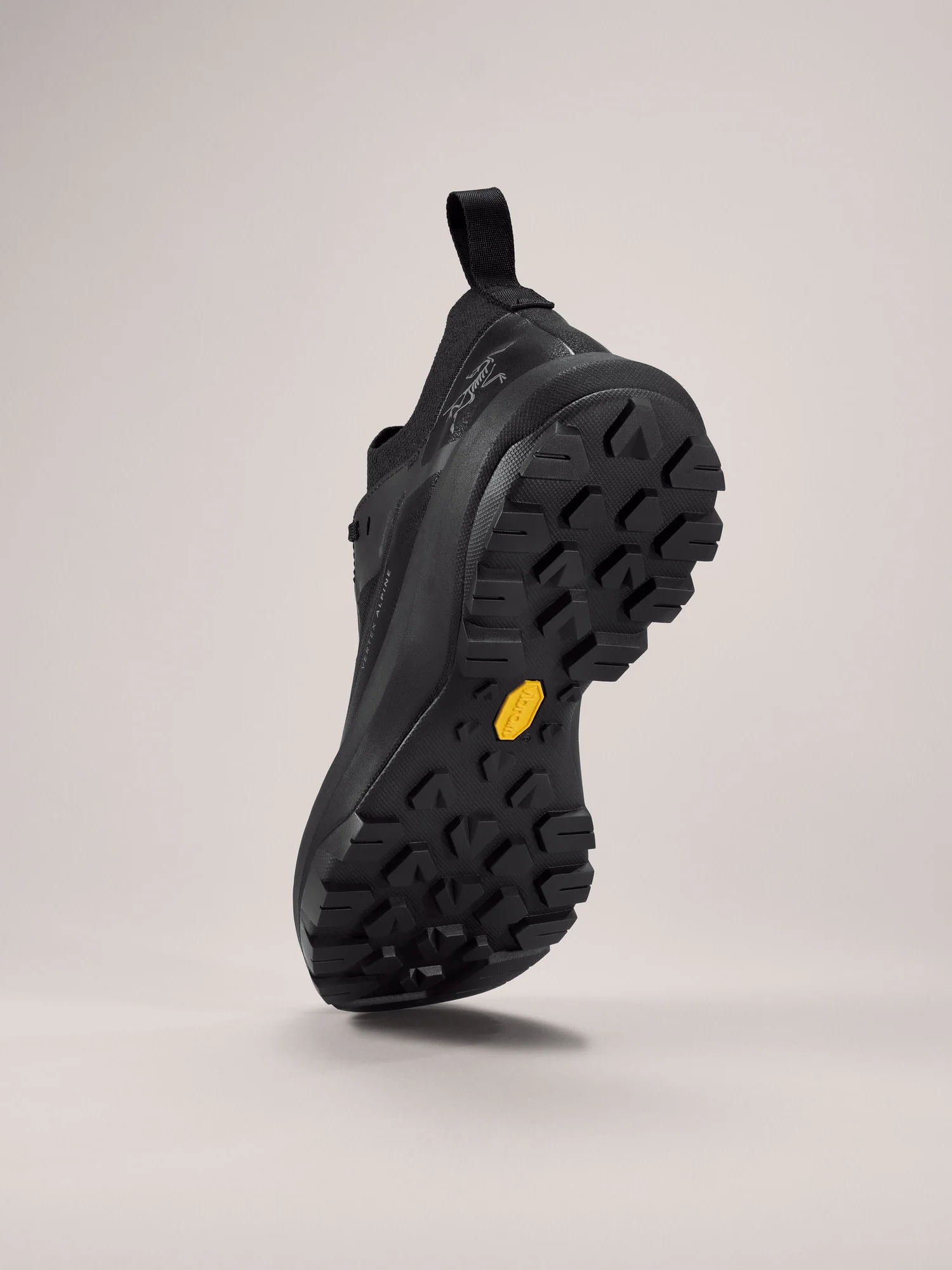 Vertex Alpine GTX Shoe Men's - Image 4