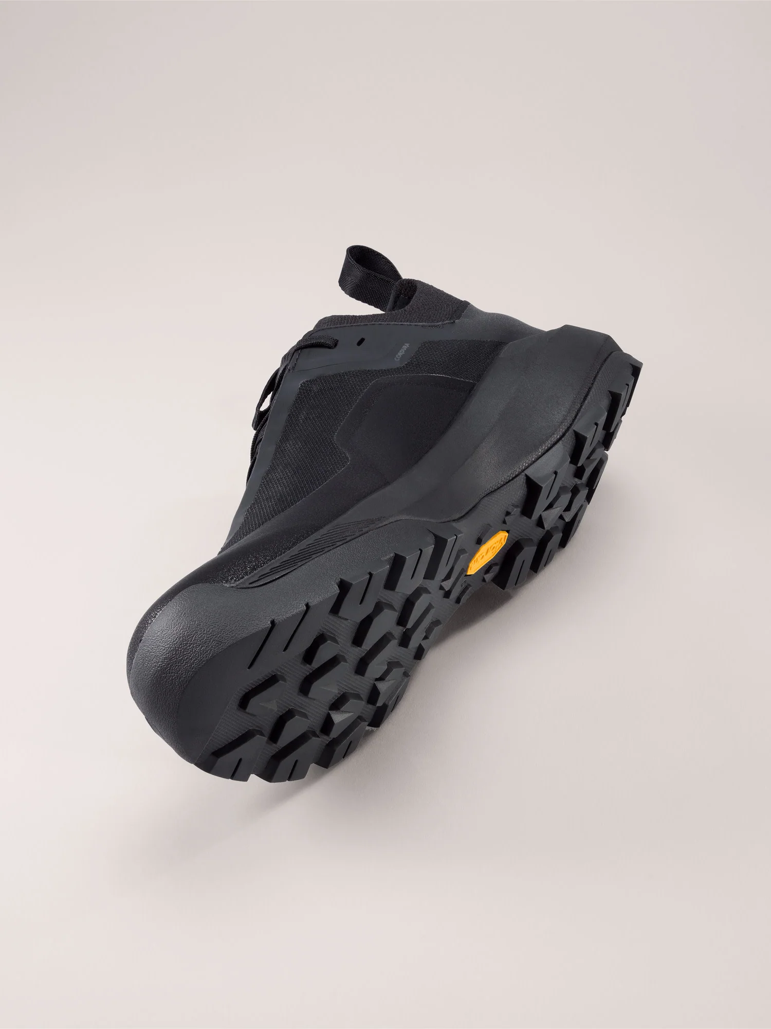 Vertex Alpine GTX Shoe Men's - Image 5