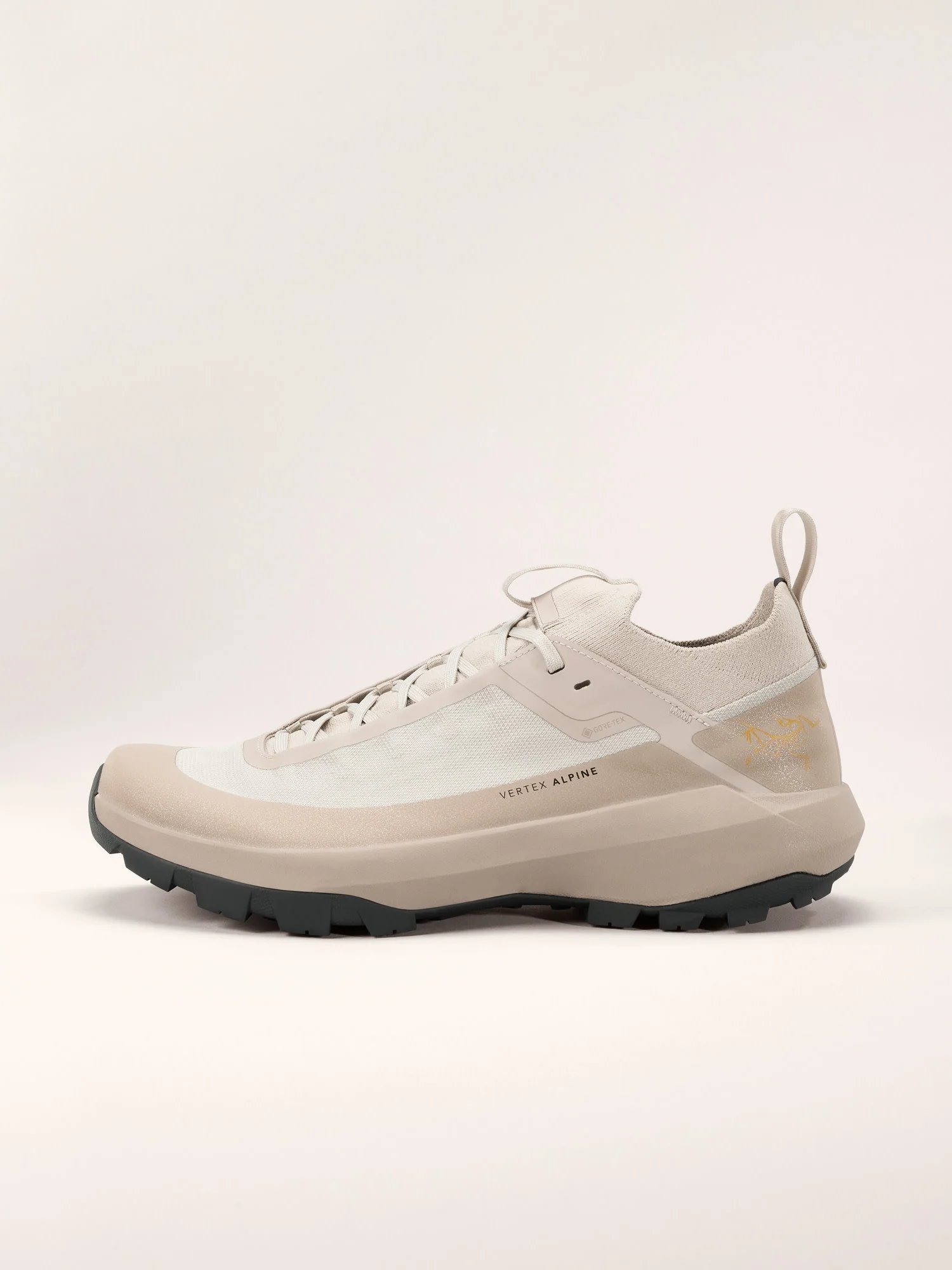 Vertex Alpine GTX Shoe Men's