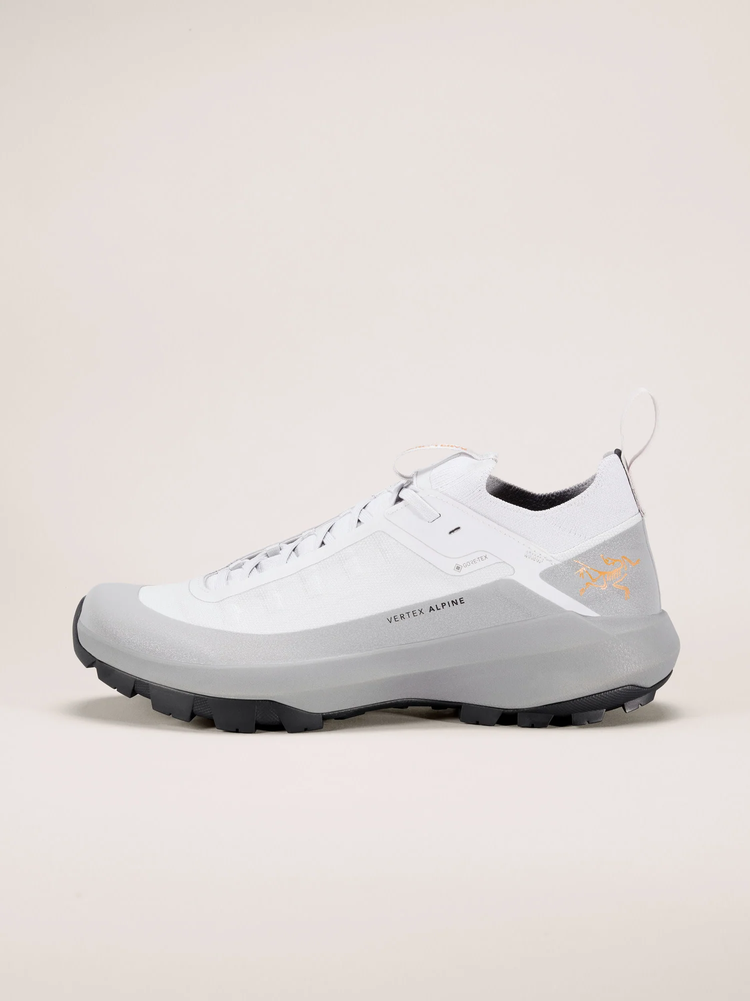 Vertex Alpine GTX Shoe Men's