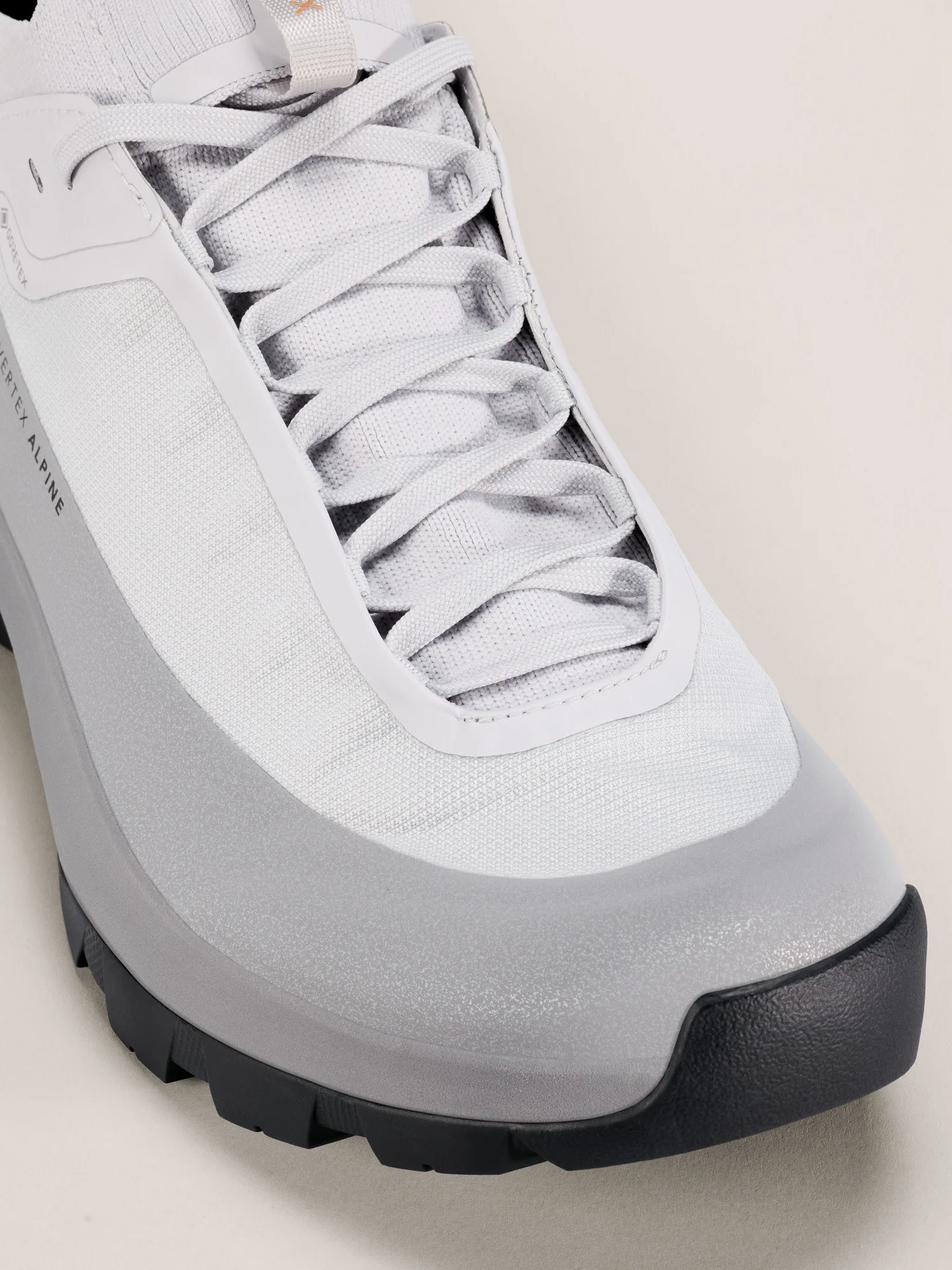 Vertex Alpine GTX Shoe Men's - Image 2