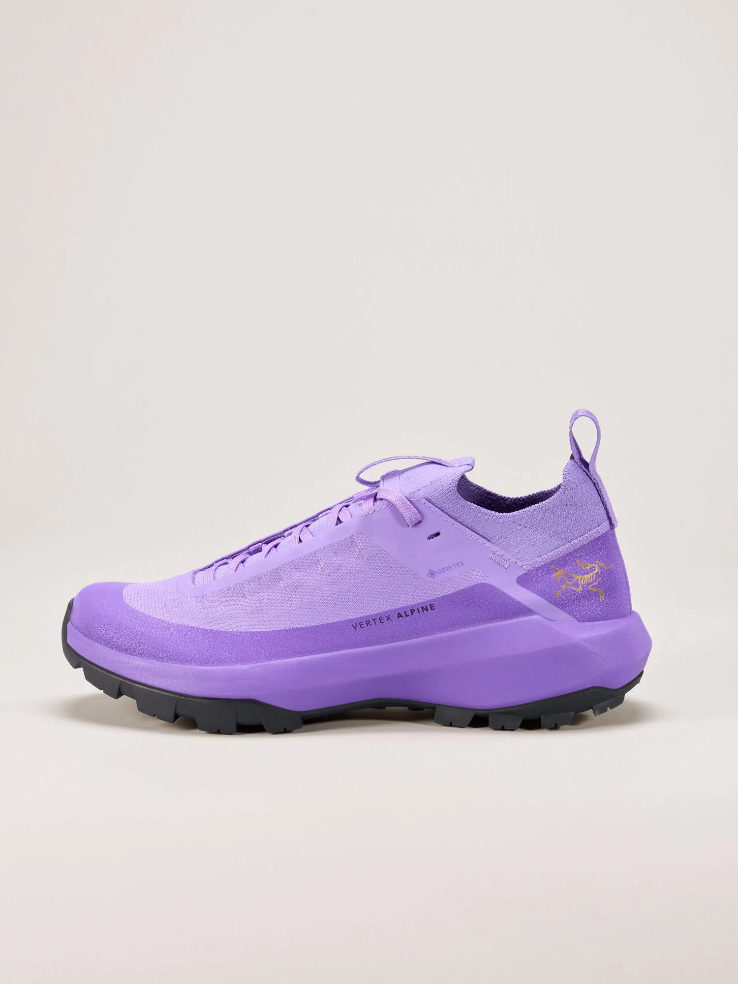 Vertex Alpine GTX Shoe Women's