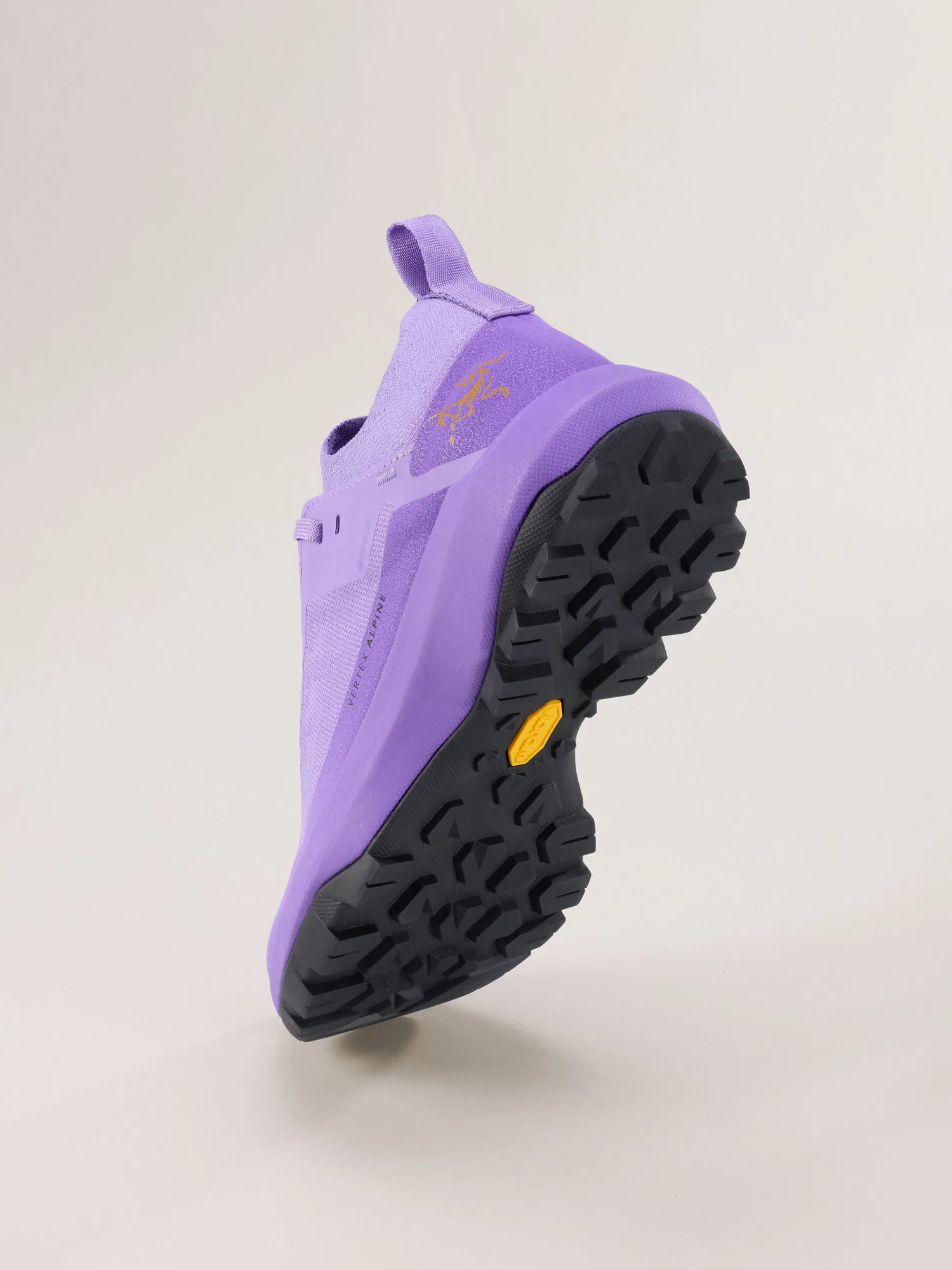 Vertex Alpine GTX Shoe Women's - Image 4