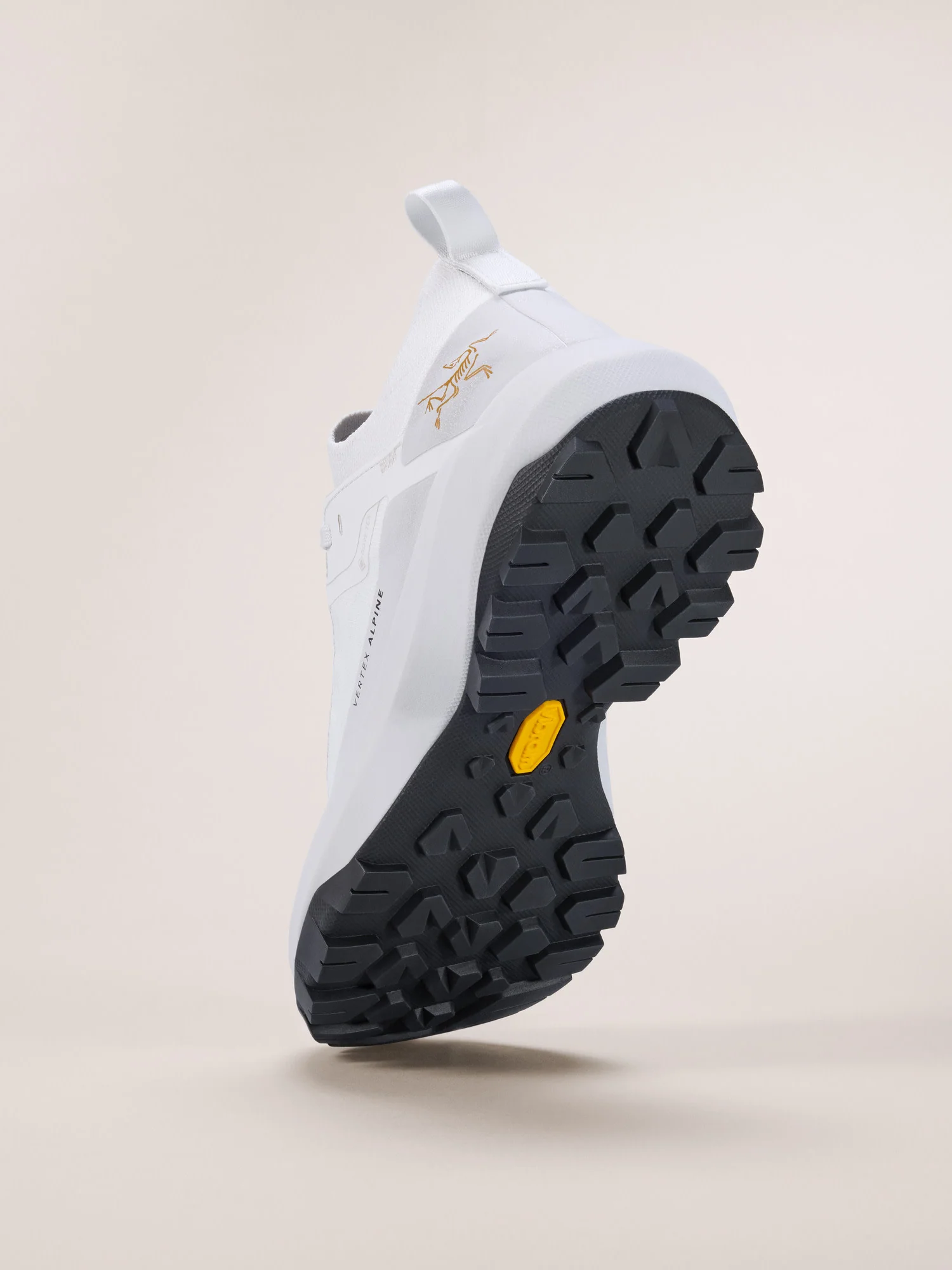 Vertex Alpine GTX Shoe Women's - Image 4
