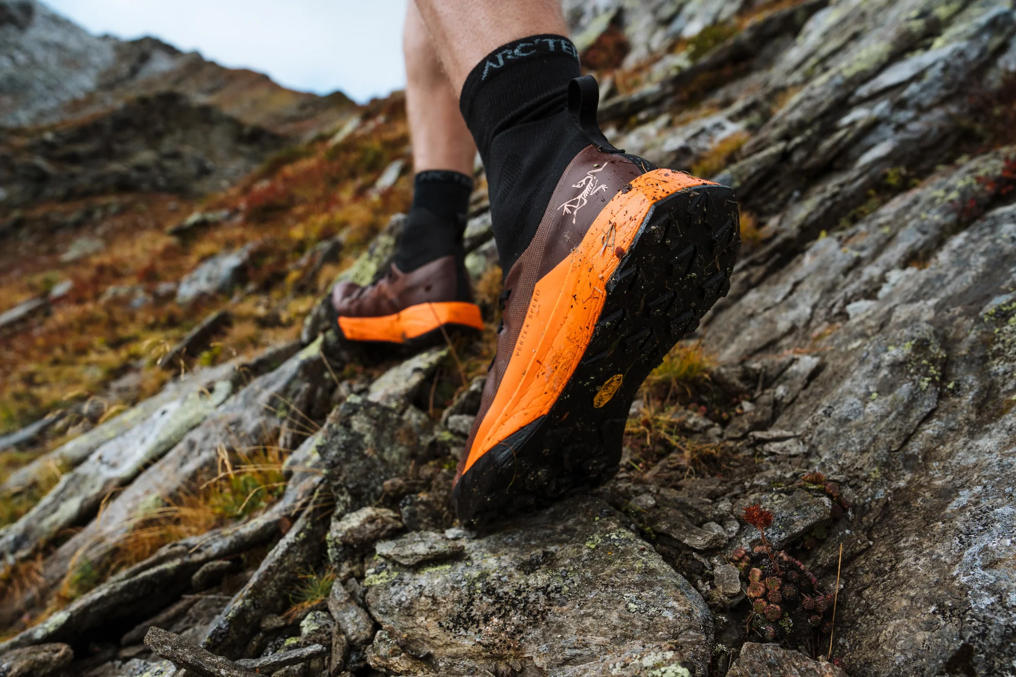 Vertex Speed Shoe Men's - Image 5