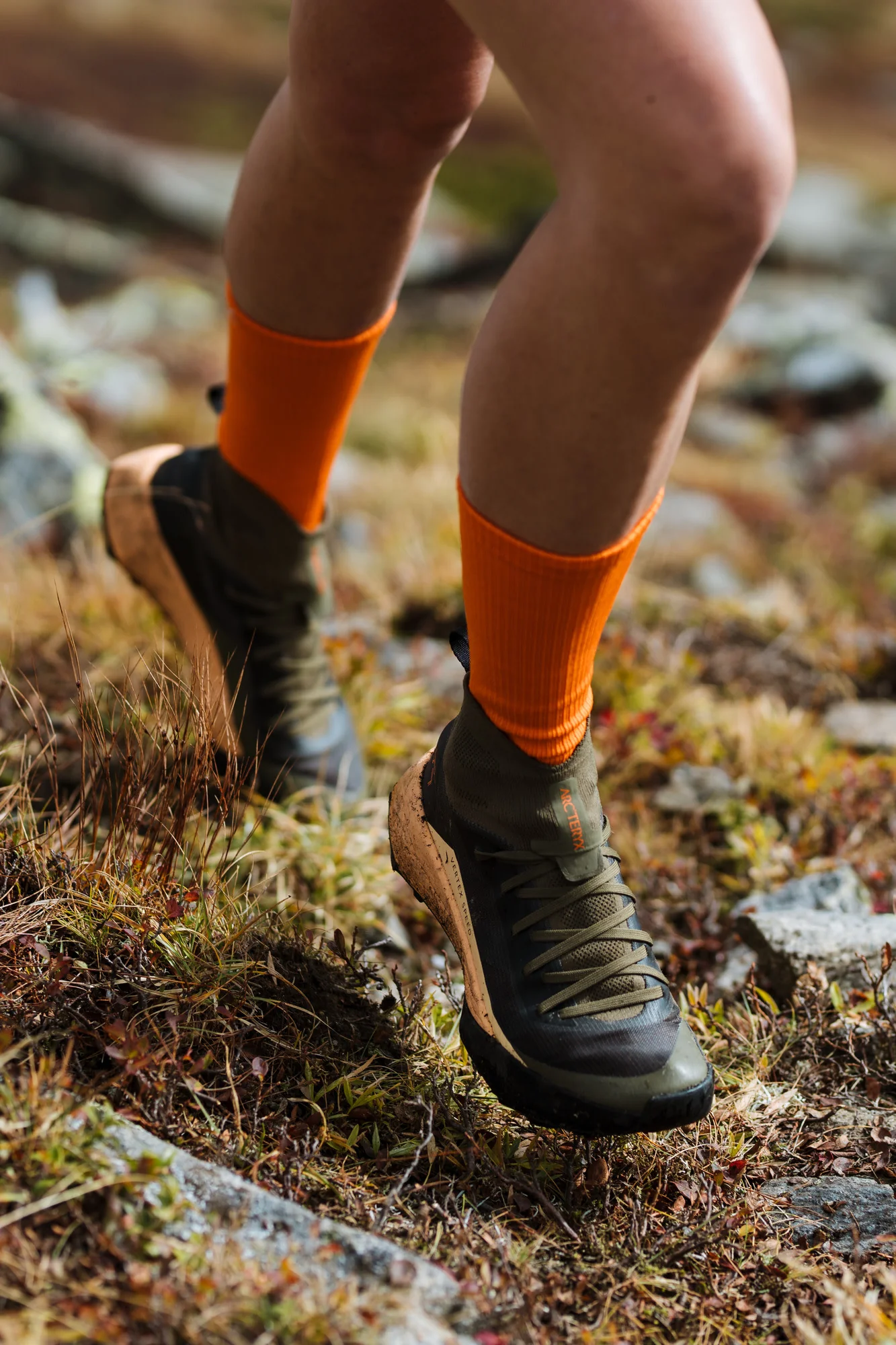 Vertex Speed Shoe Women's - Image 5