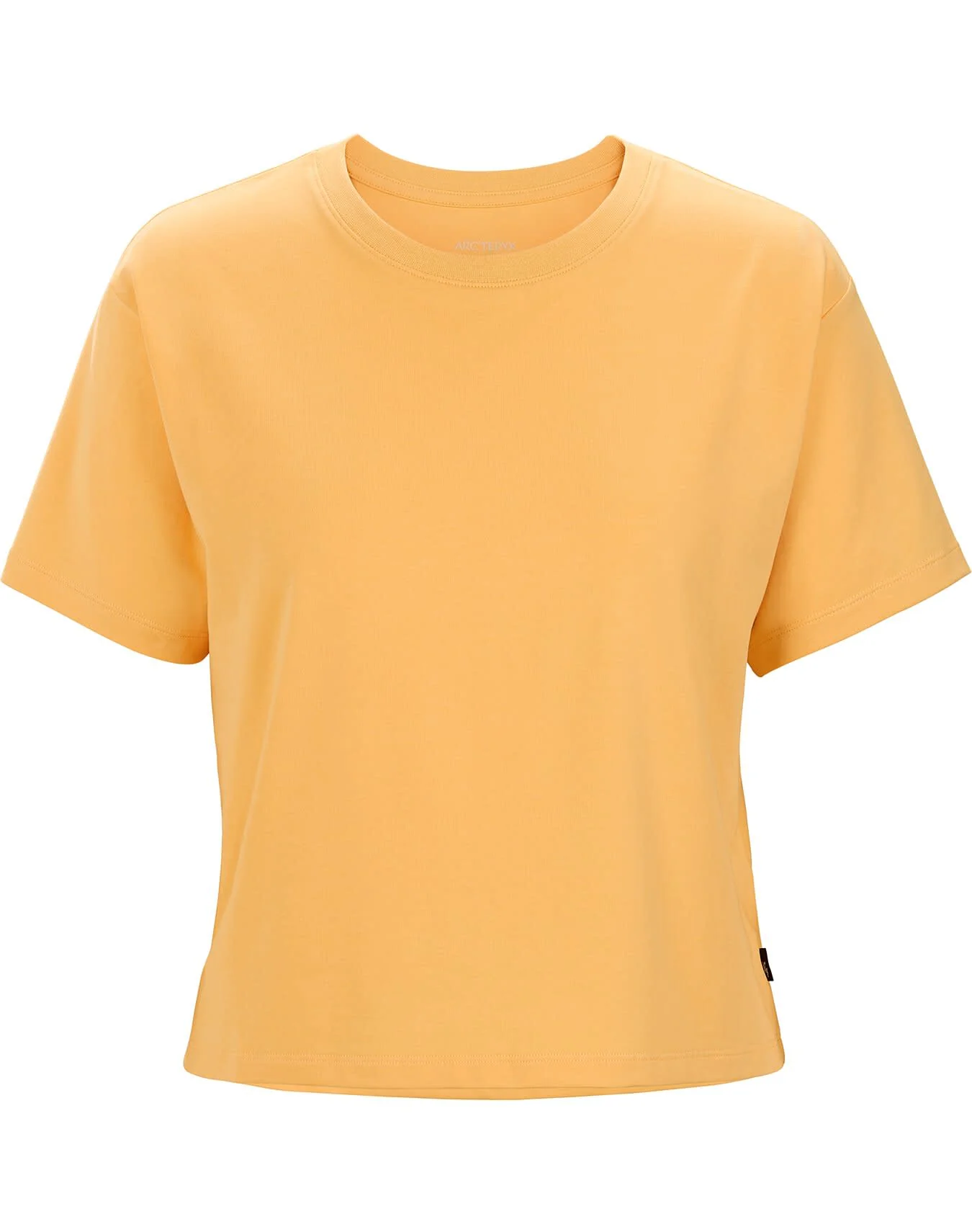 Wordmark Shadow Crop T-Shirt Women's